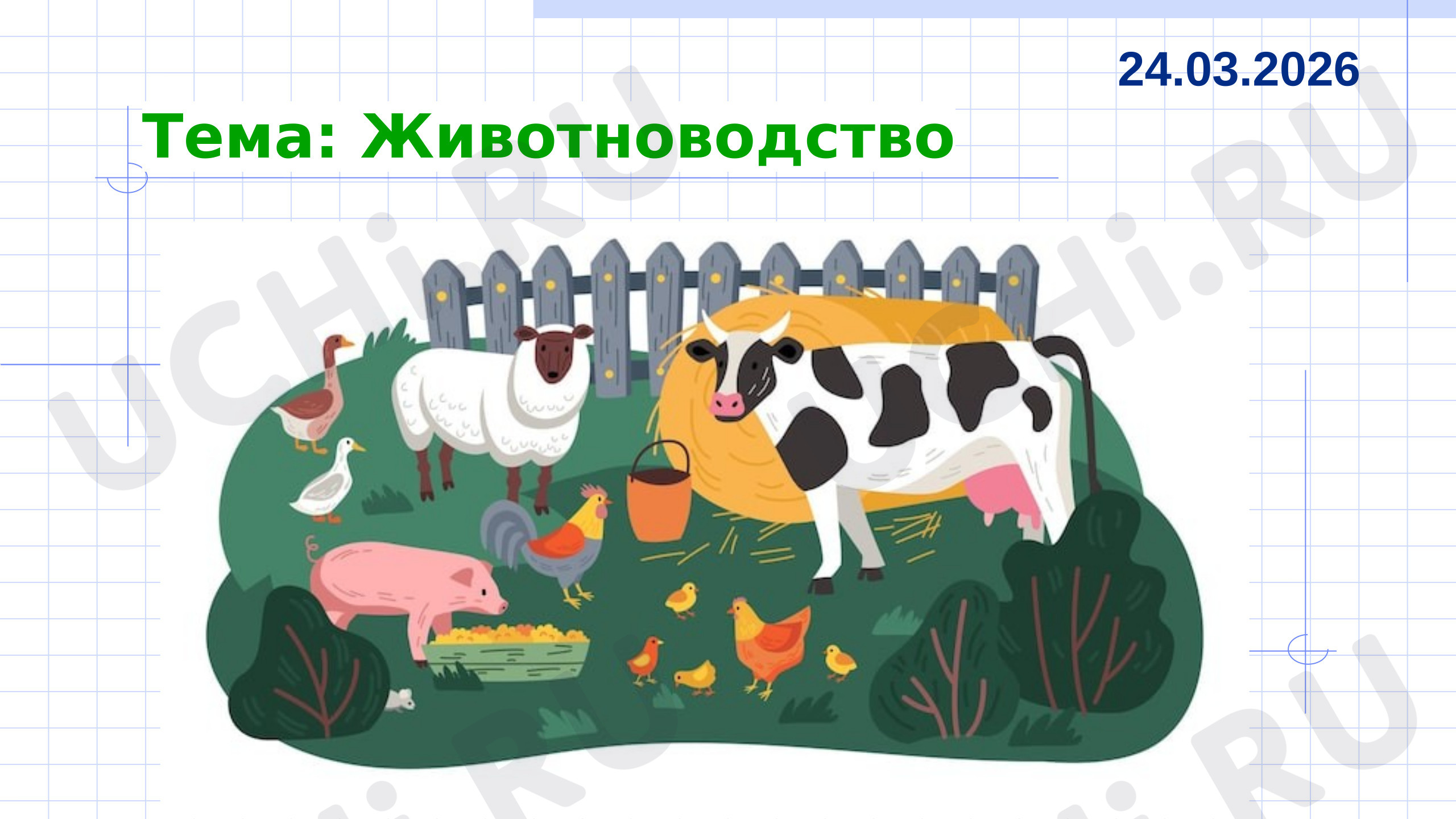 Предпросмотр материала Презентация к уроку окружающего мира. Животноводство