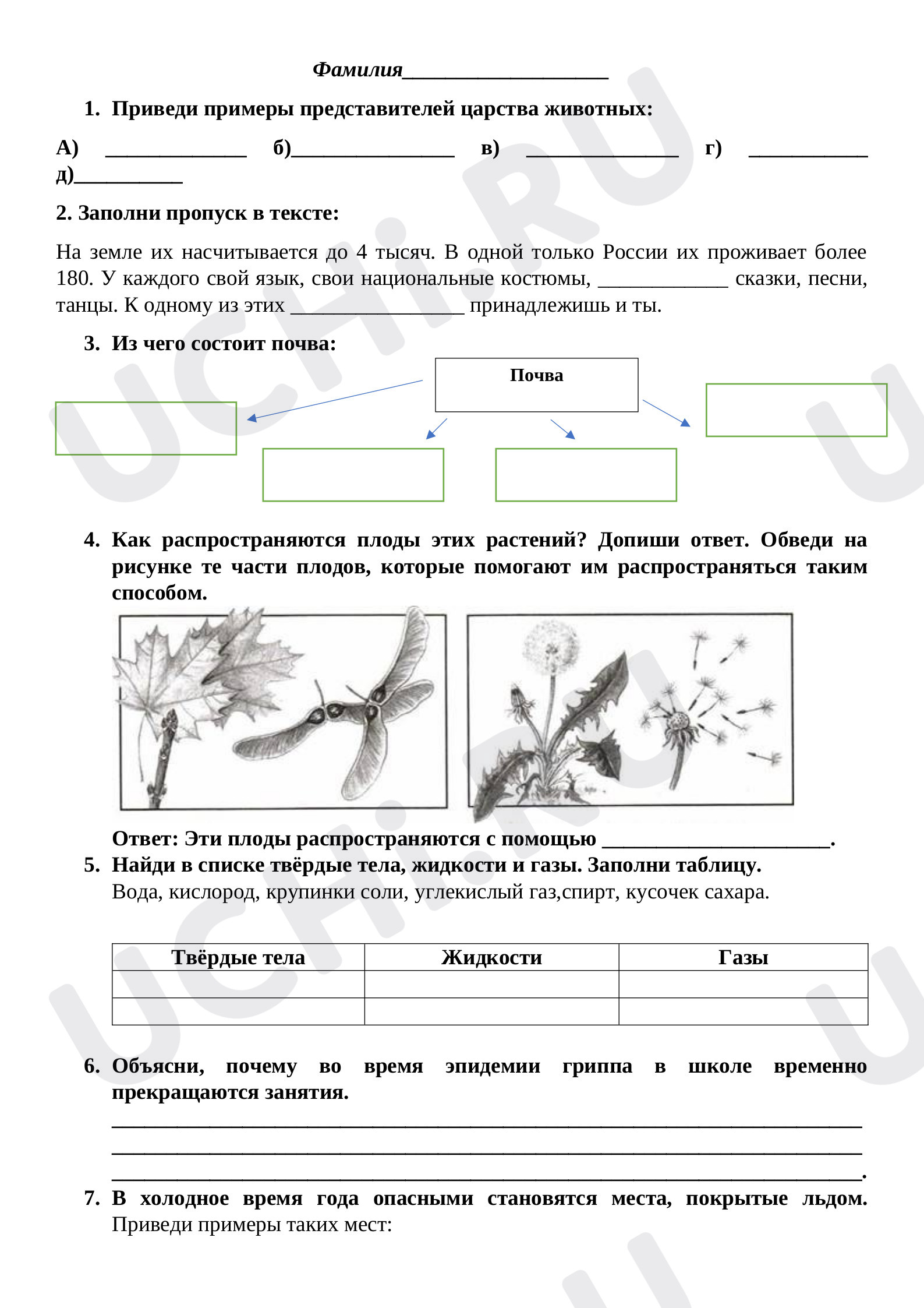 Контрольная работа по окружающему миру за 1 полугодие. По учебнику  А.Плешакова.: Опора тела и движение | Учи.ру