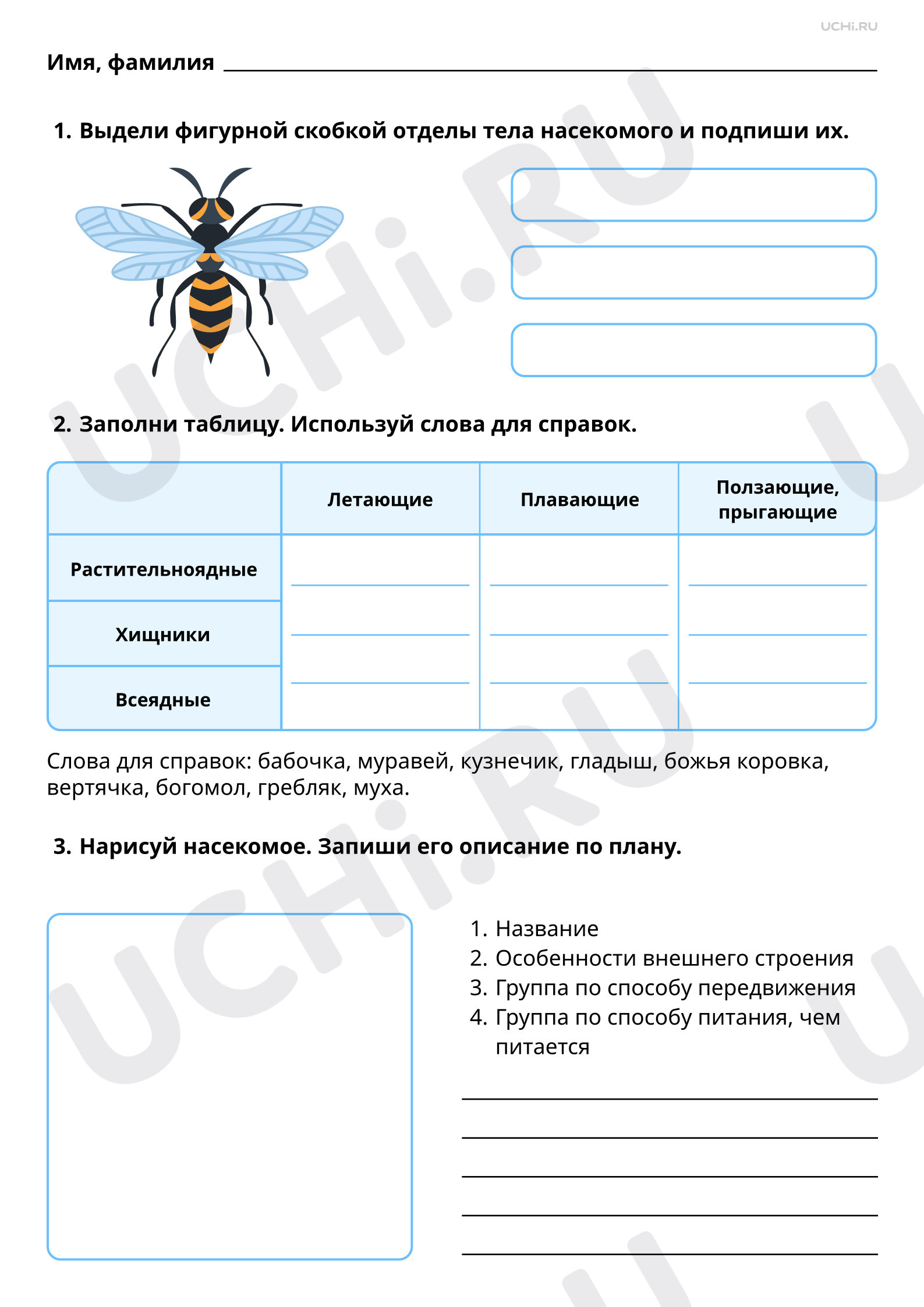 Предпросмотр материала Мир животных: насекомые. Повышенный уровень