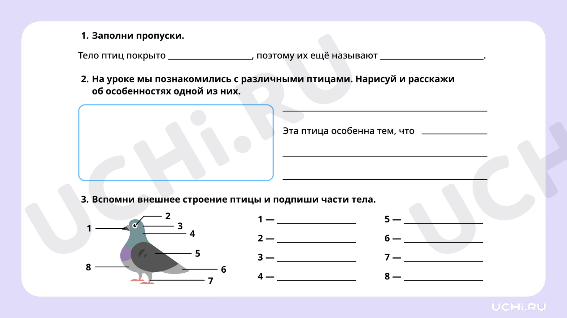 Рабочие листы по теме «Мир животных: птицы (узнавание, называние). Главная  особенность этой группы животных». Повышенный уровень: Мир животных: птицы  (узнавание, называние). Главная особенность этой группы животных | Учи.ру