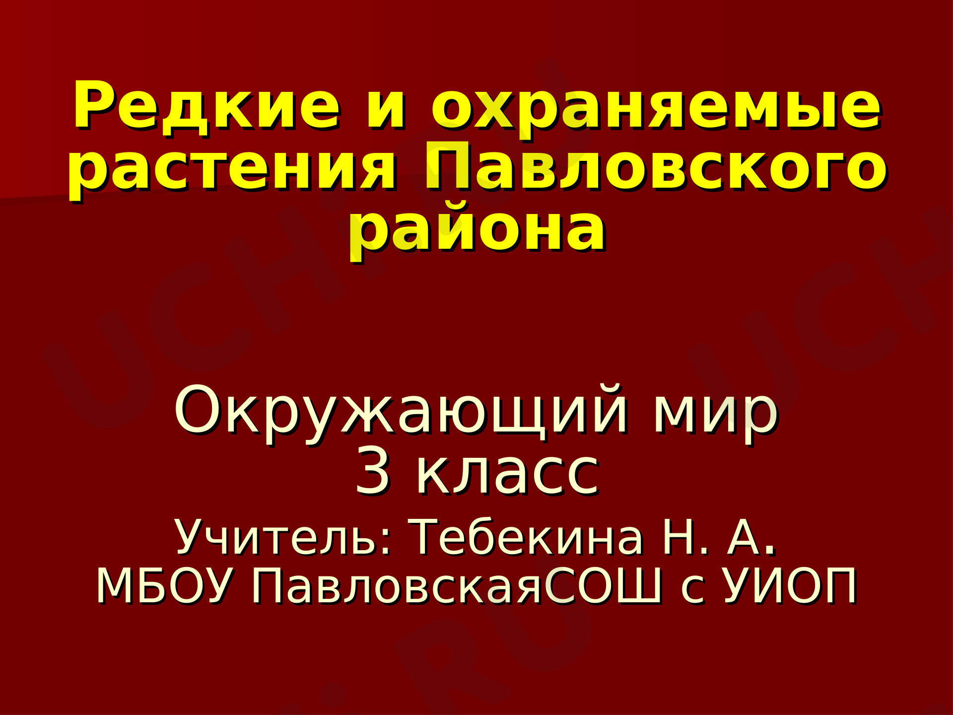 Предпросмотр материала Редкие и охраняемые растения Павловского района. Охрана растений