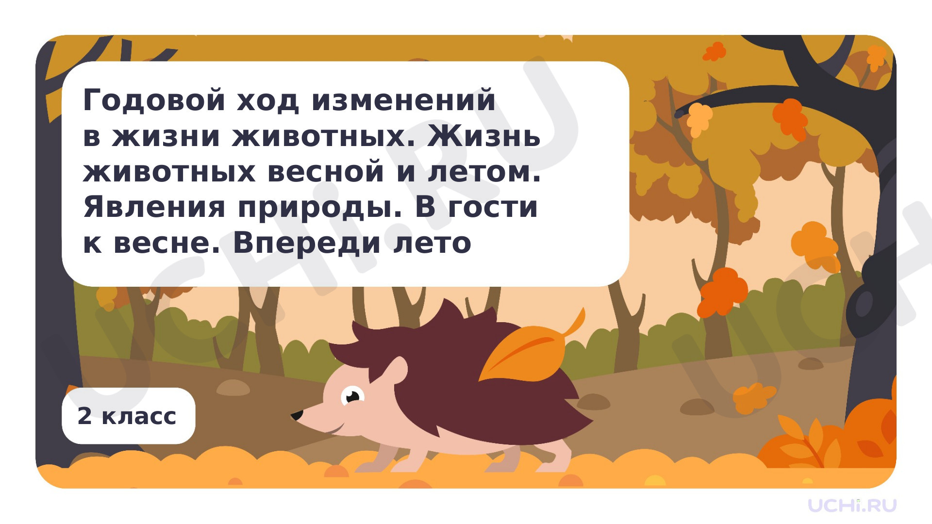 Предпросмотр материала Жизнь животных весной и летом. Явления природы. В гости к весне. Впереди лето