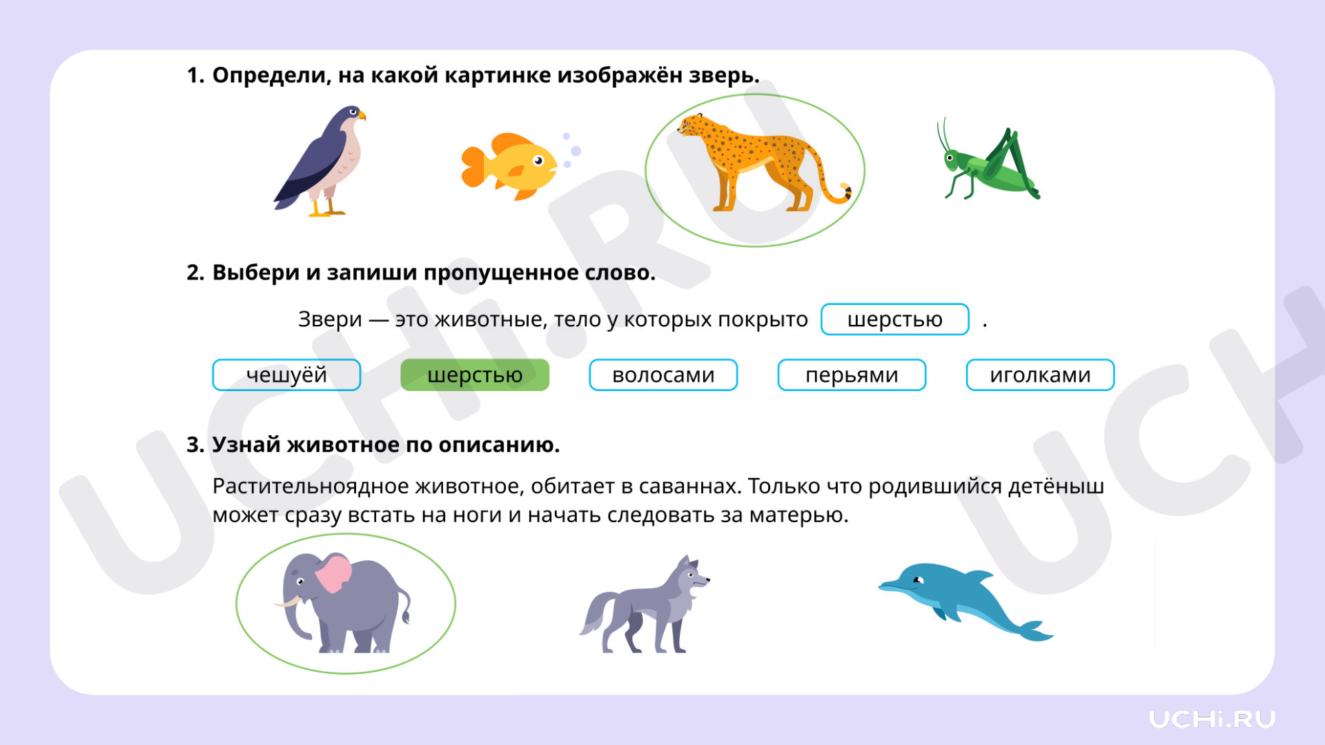 Мир животных: звери (узнавание, называние, сравнение, краткое описание):  Мир животных: звери (узнавание, называние, сравнение, краткое описание) |  Учи.ру