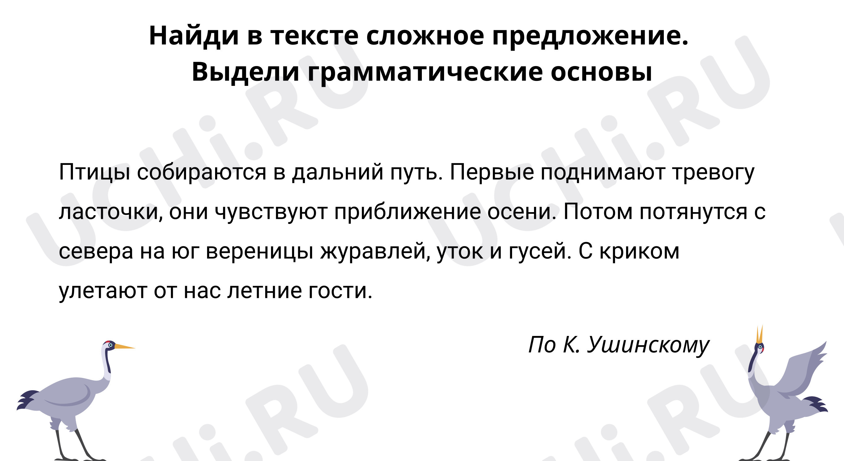 Предпросмотр материала Найди в тексте сложное предложение. Выдели грамматические основы