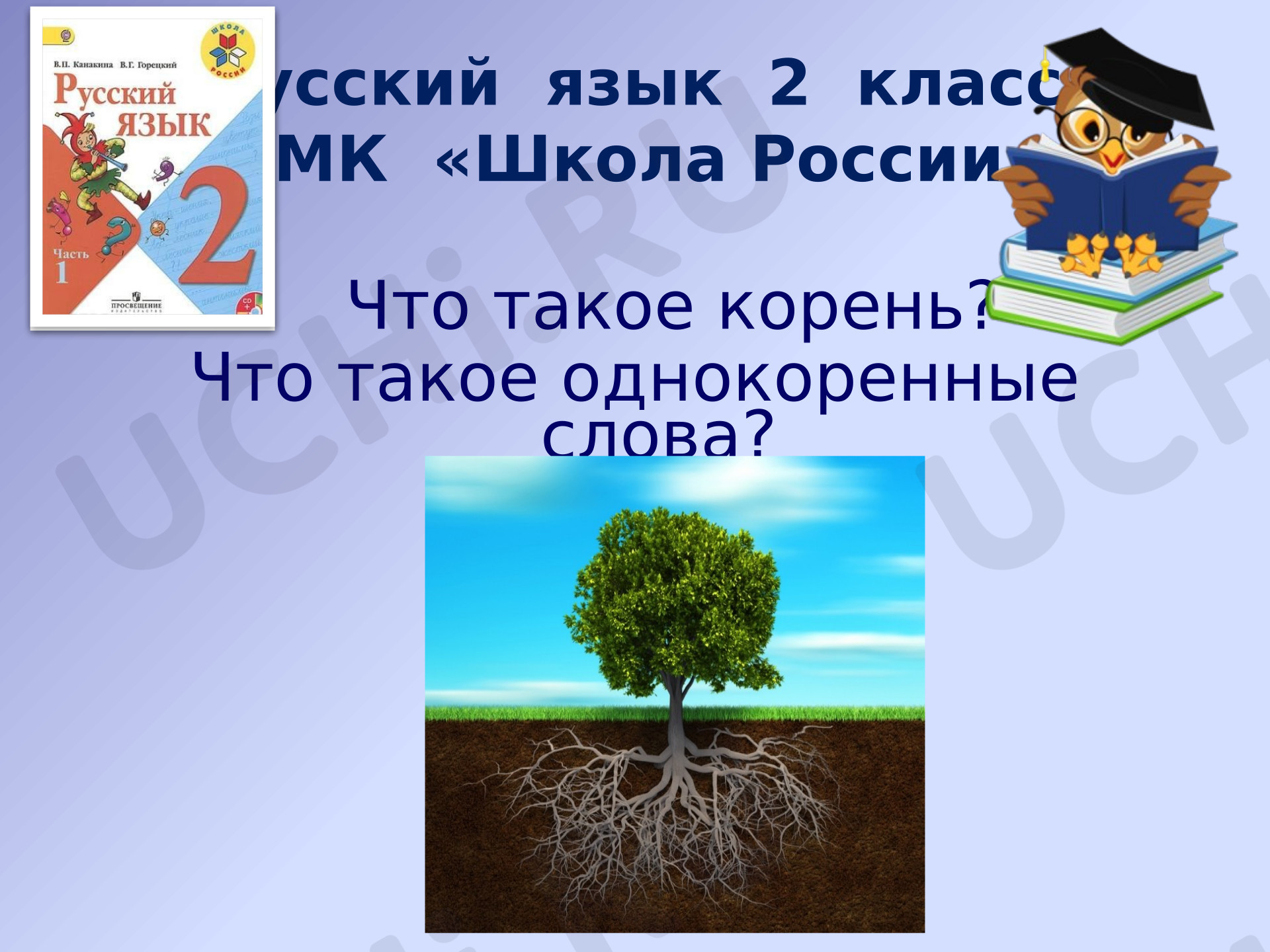 Предпросмотр материала Презентация к уроку русского языка. Что такое корень? Что такое однокоренные слова?