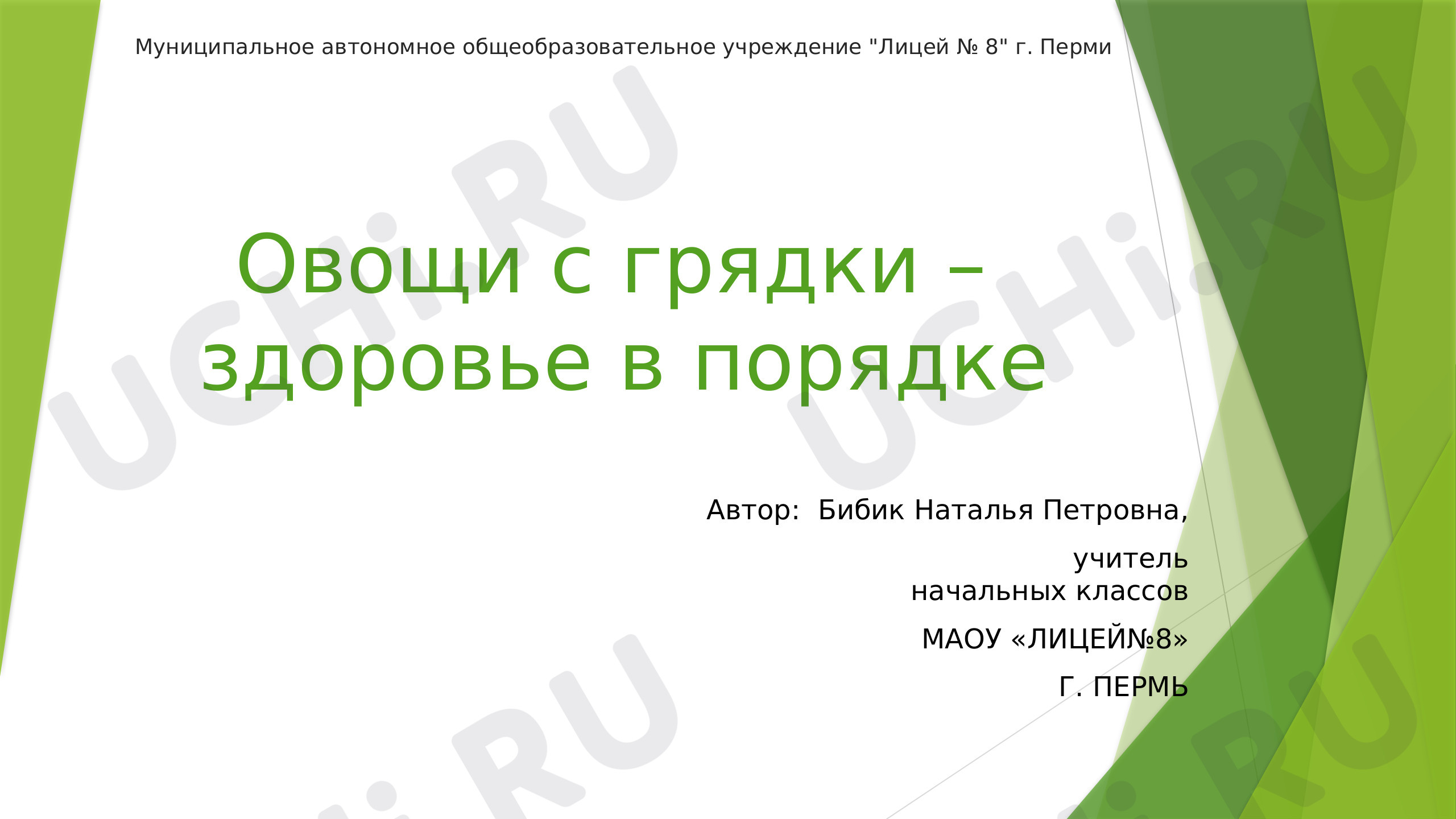 Предпросмотр материала «Овощи с грядки»