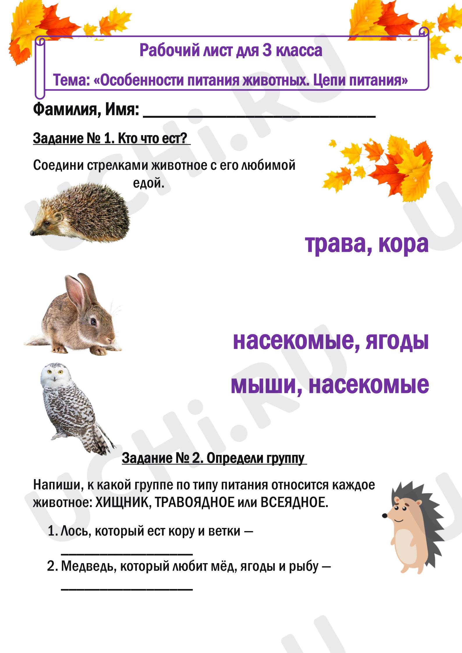 Предпросмотр материала Рабочий лист к уроку окружающего мира для 3 класса «Особенности питания животных. Цепи питания».