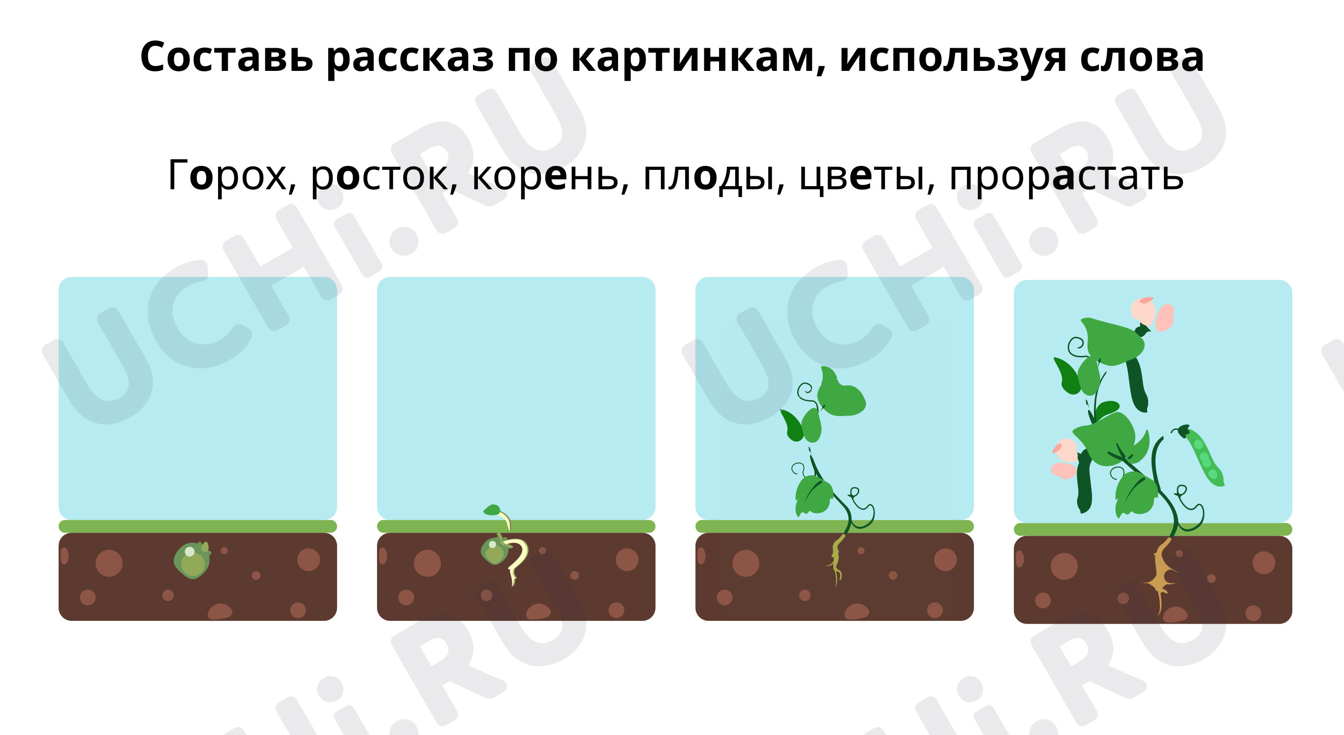 Предпросмотр материала Составь рассказ по картинкам