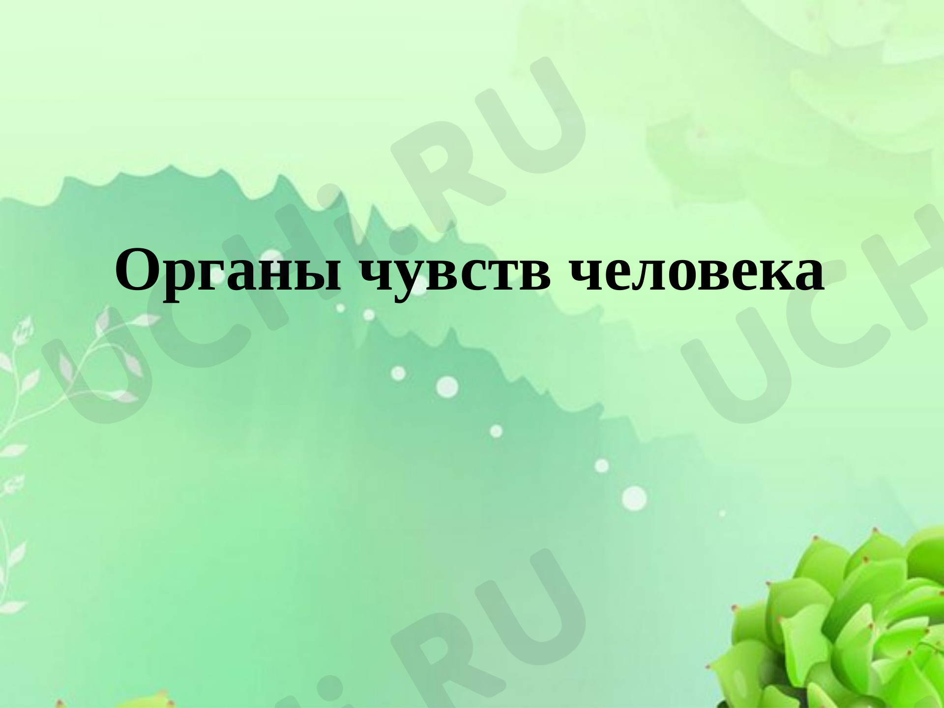 Предпросмотр материала Презентация к уроку окружающего мира по теме: Органы чувств