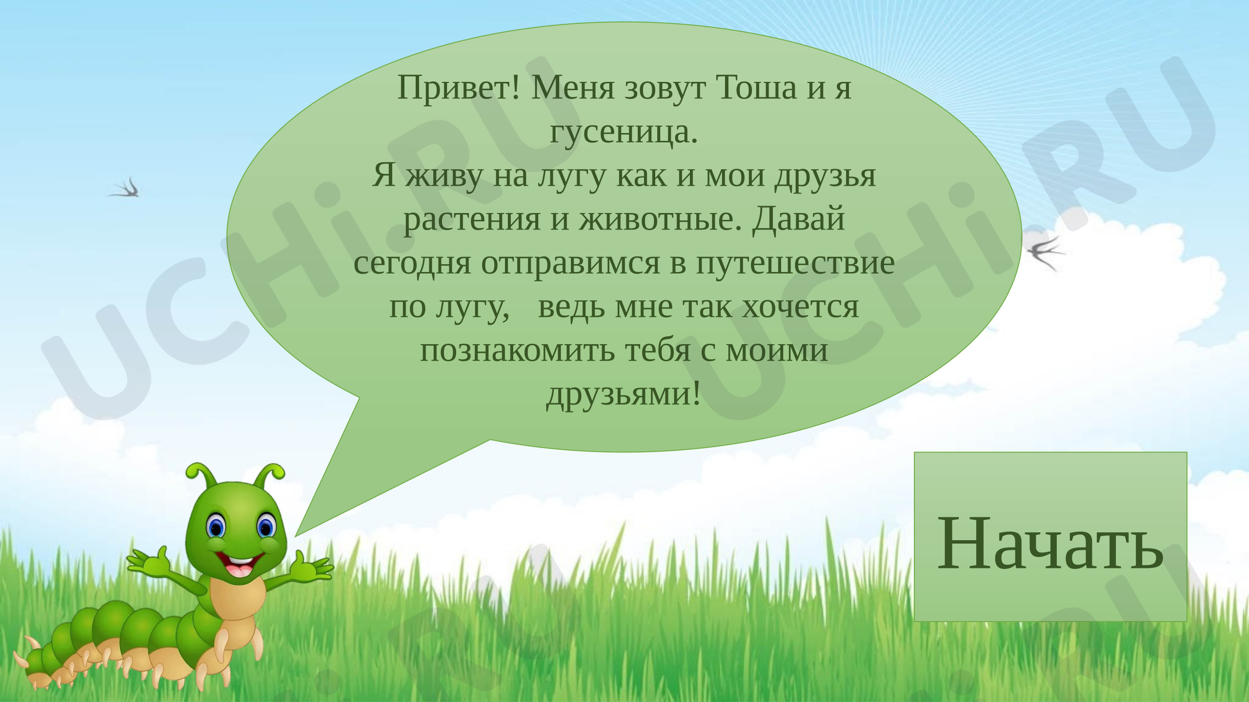 Предпросмотр материала Презентация к уроку окружающего мира. Луг - природное сообщество.