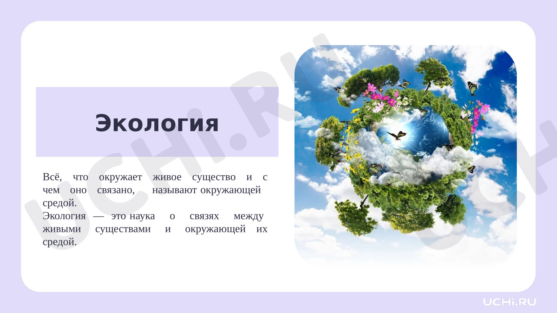 Предпросмотр материала Презентация к уроку окружающего мира. Что такое экология?