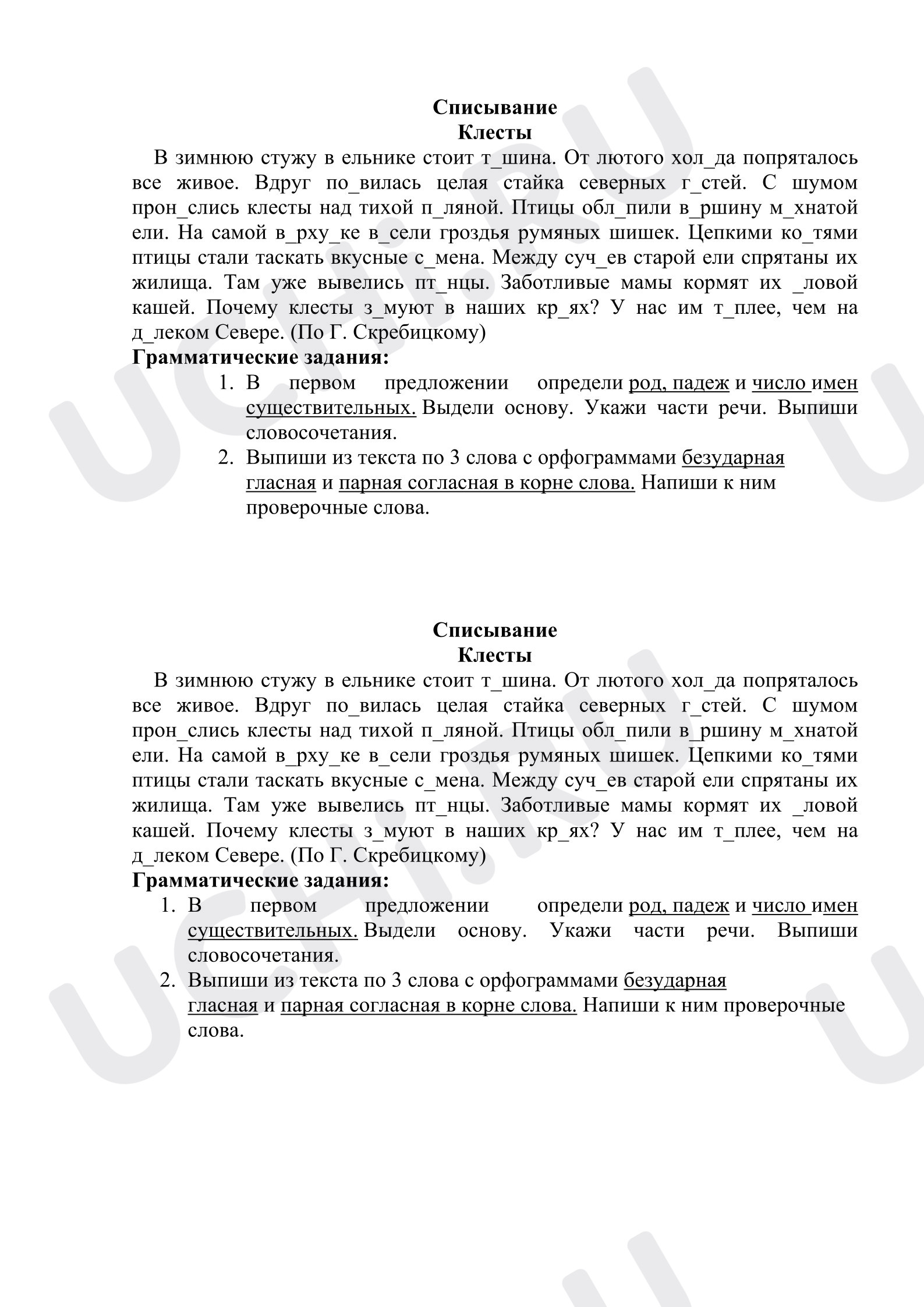 Предпросмотр материала Проверочная работа к уроку русского языка. Списывание «Клесты».