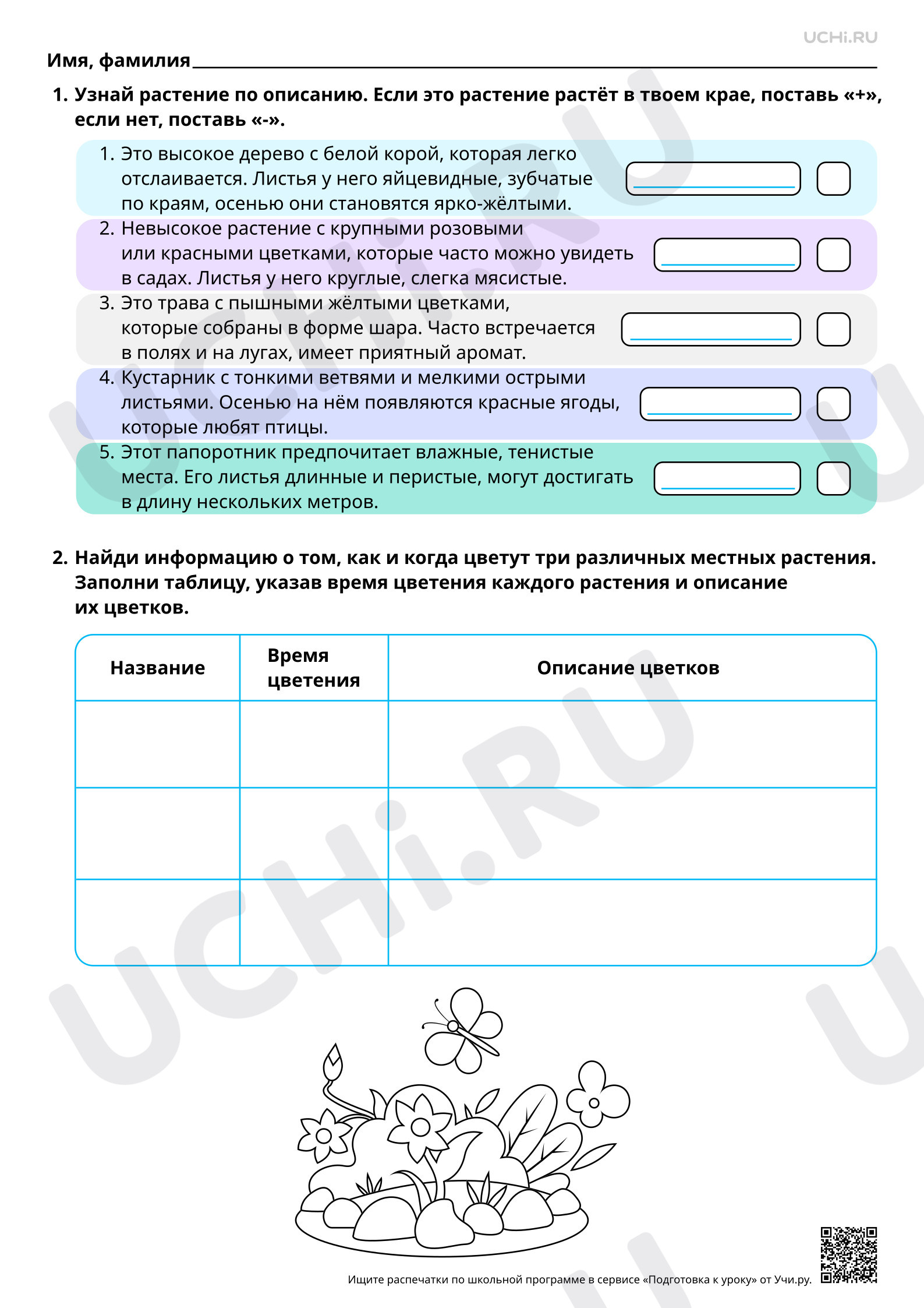 Предпросмотр материала Растения родного края. Повышенный уровень