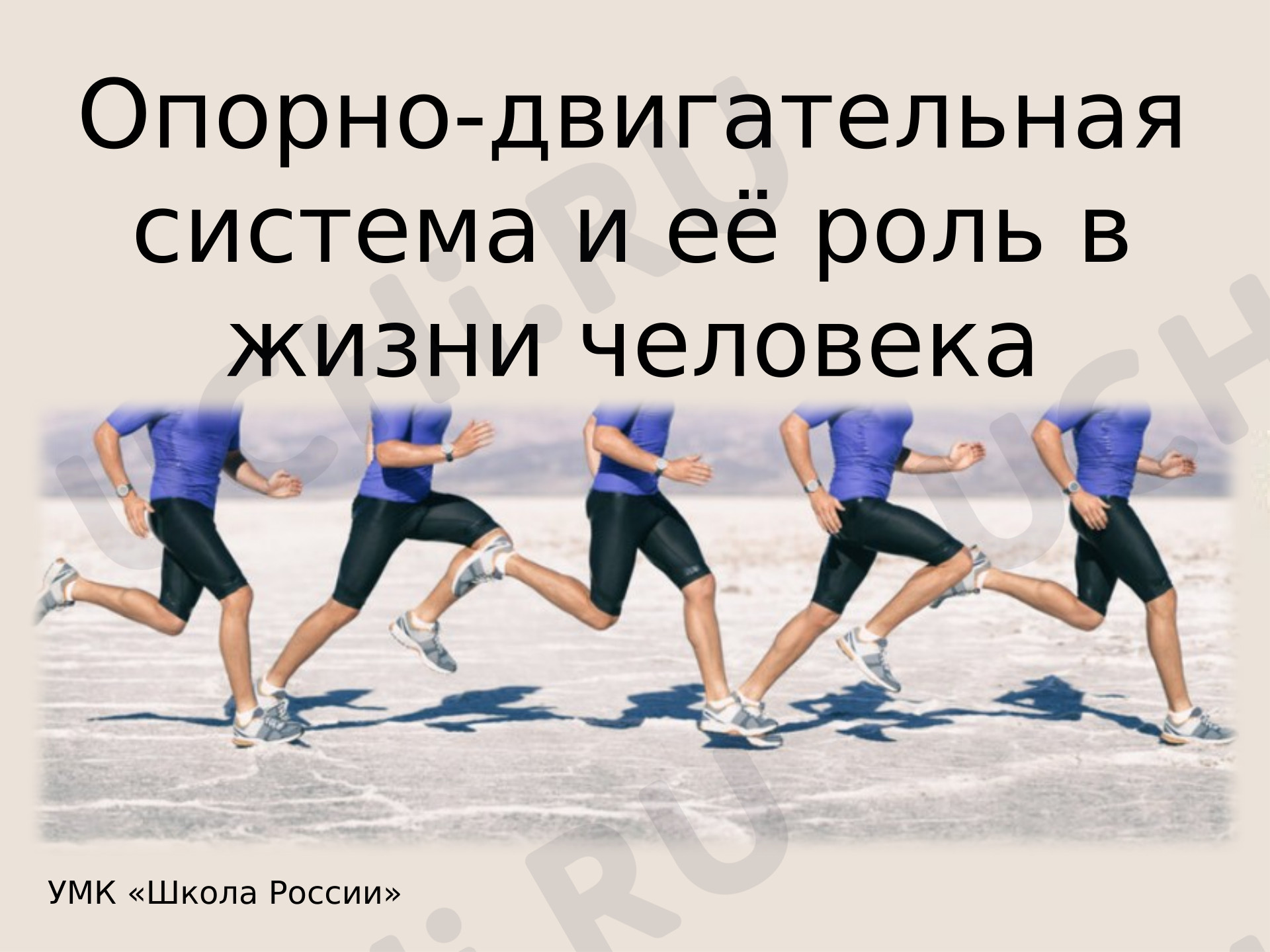 Предпросмотр материала Презентация к уроку окружающего мира по теме: Опорно-двигательная система и ее роль в жизни человека