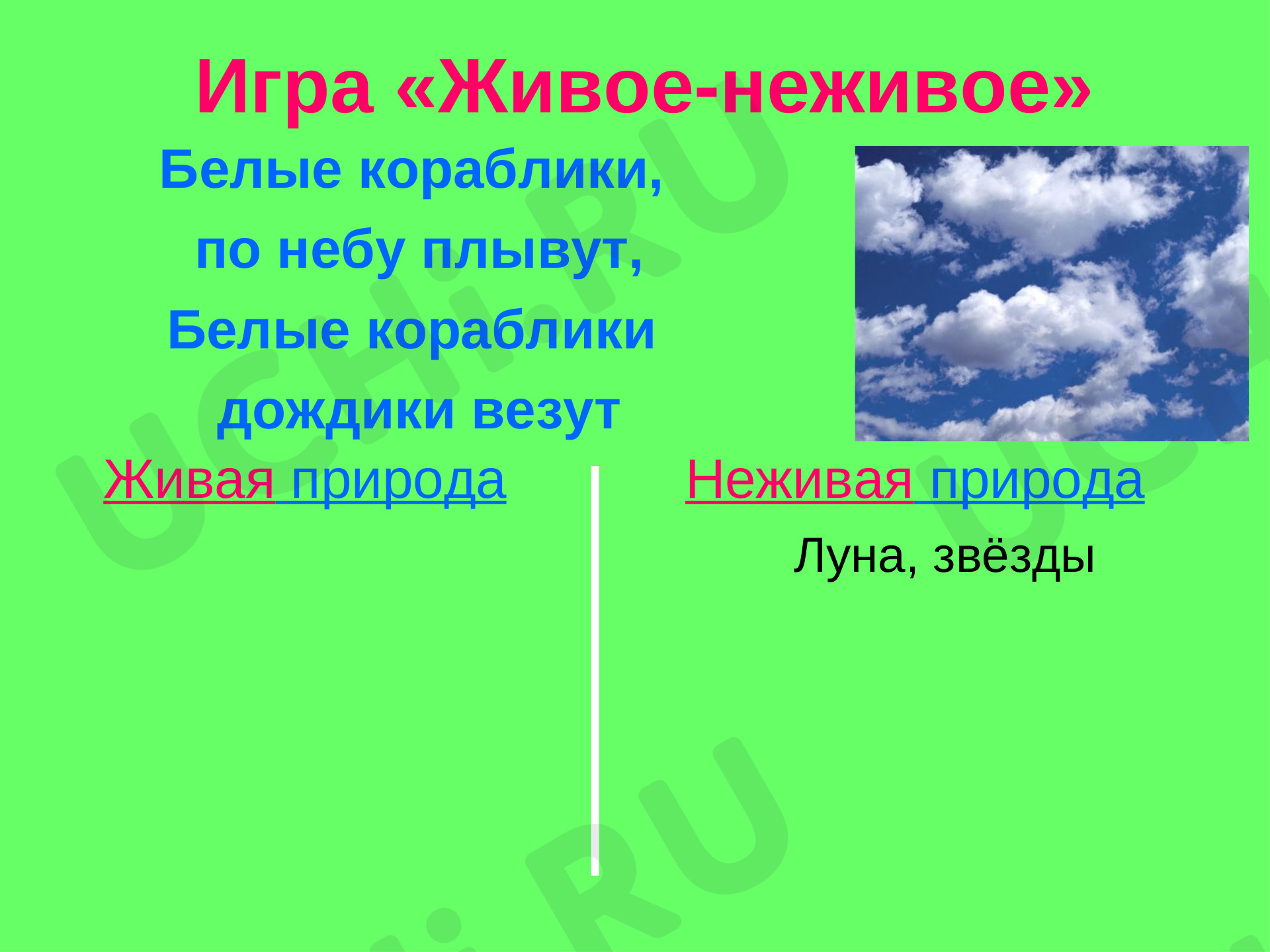 Окружающий мир для 1 четверти 1 класса. ЭОР | Подготовка к уроку от Учи.ру