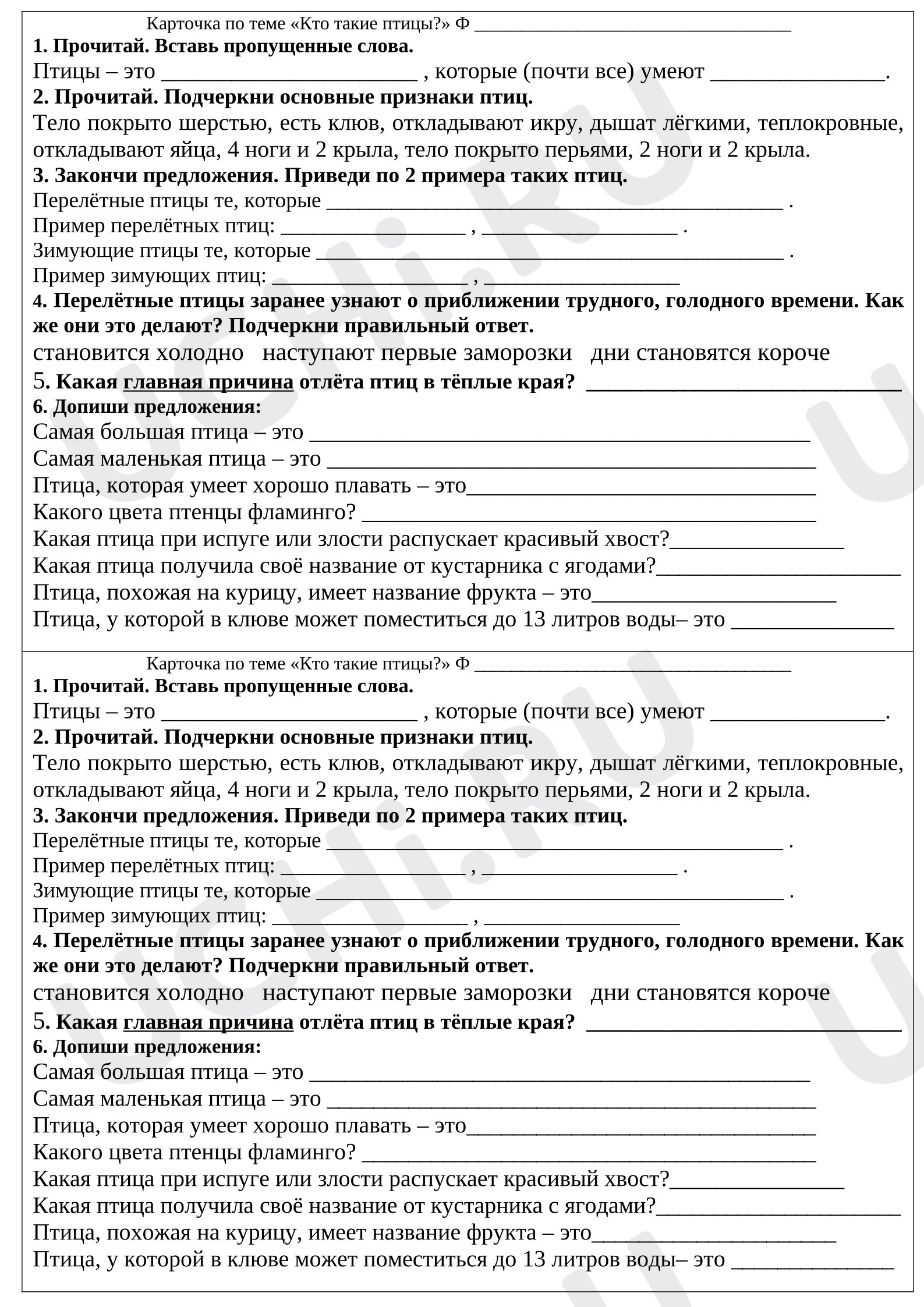 Предпросмотр материала Самостоятельная работа к уроку окружающего мира по теме «Кто такие птицы?»