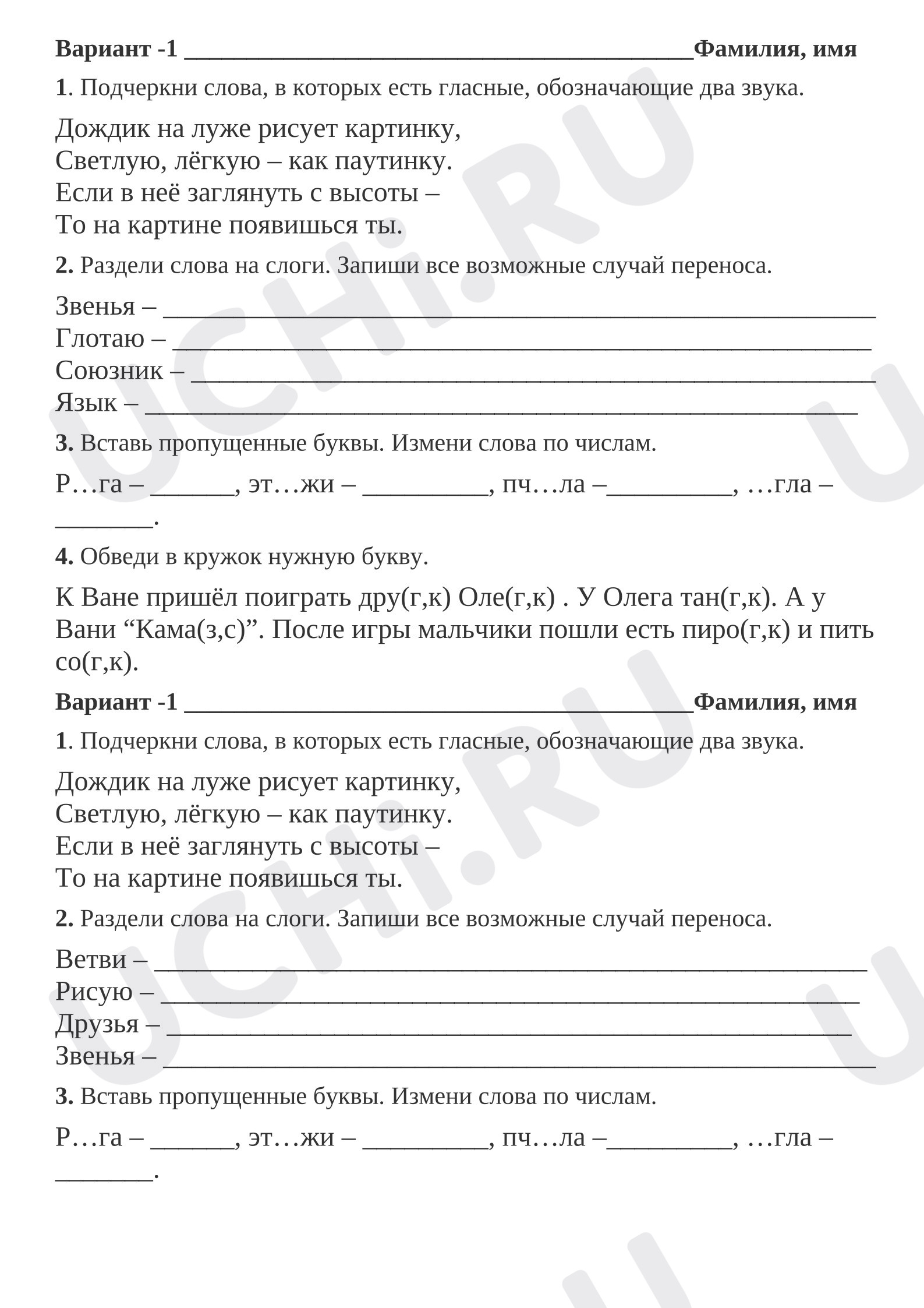 Предпросмотр материала Проверочная работа два варианта.