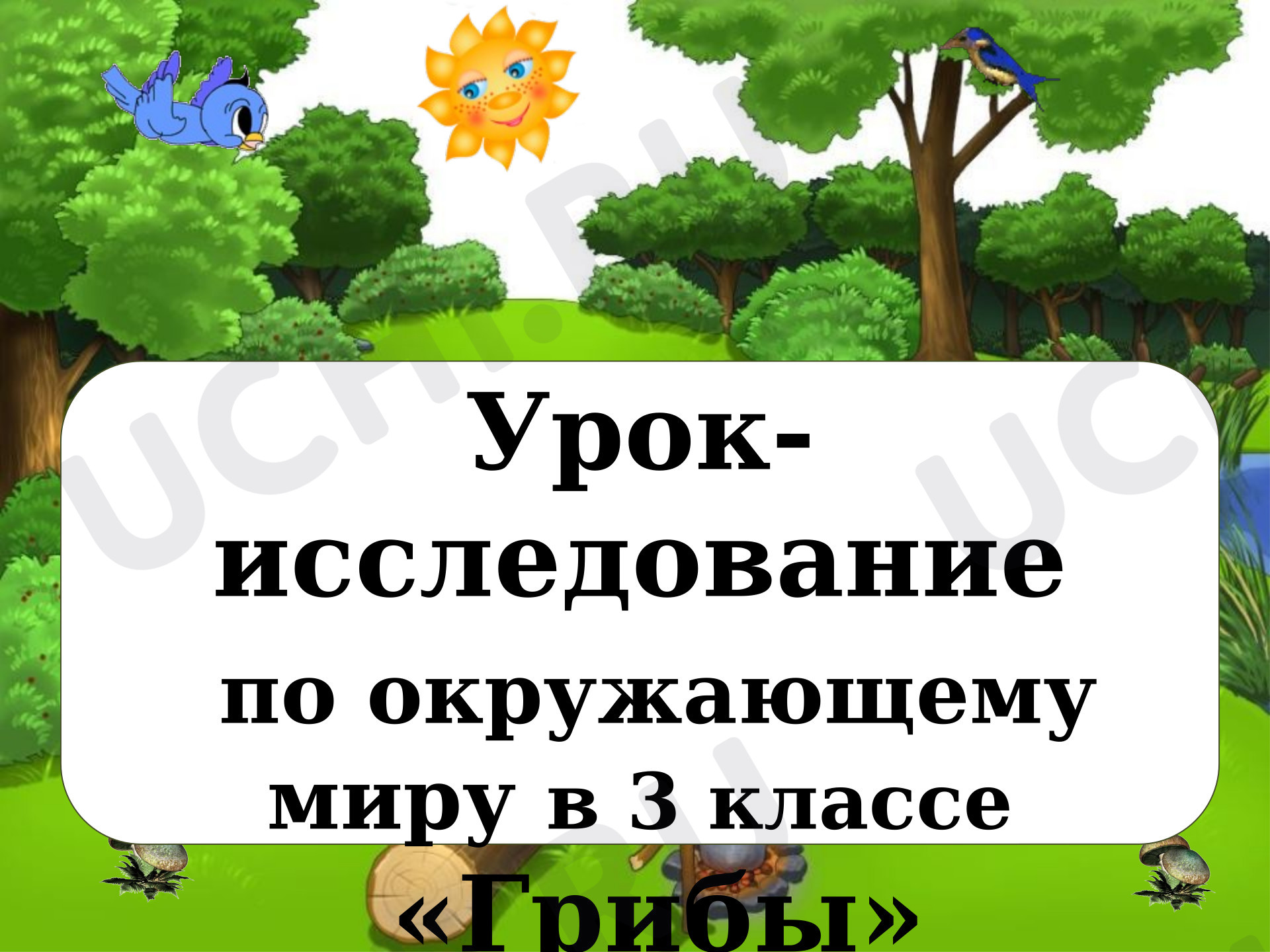 Предпросмотр материала Презентация к уроку окружающего мира, Грибы, 3 класс