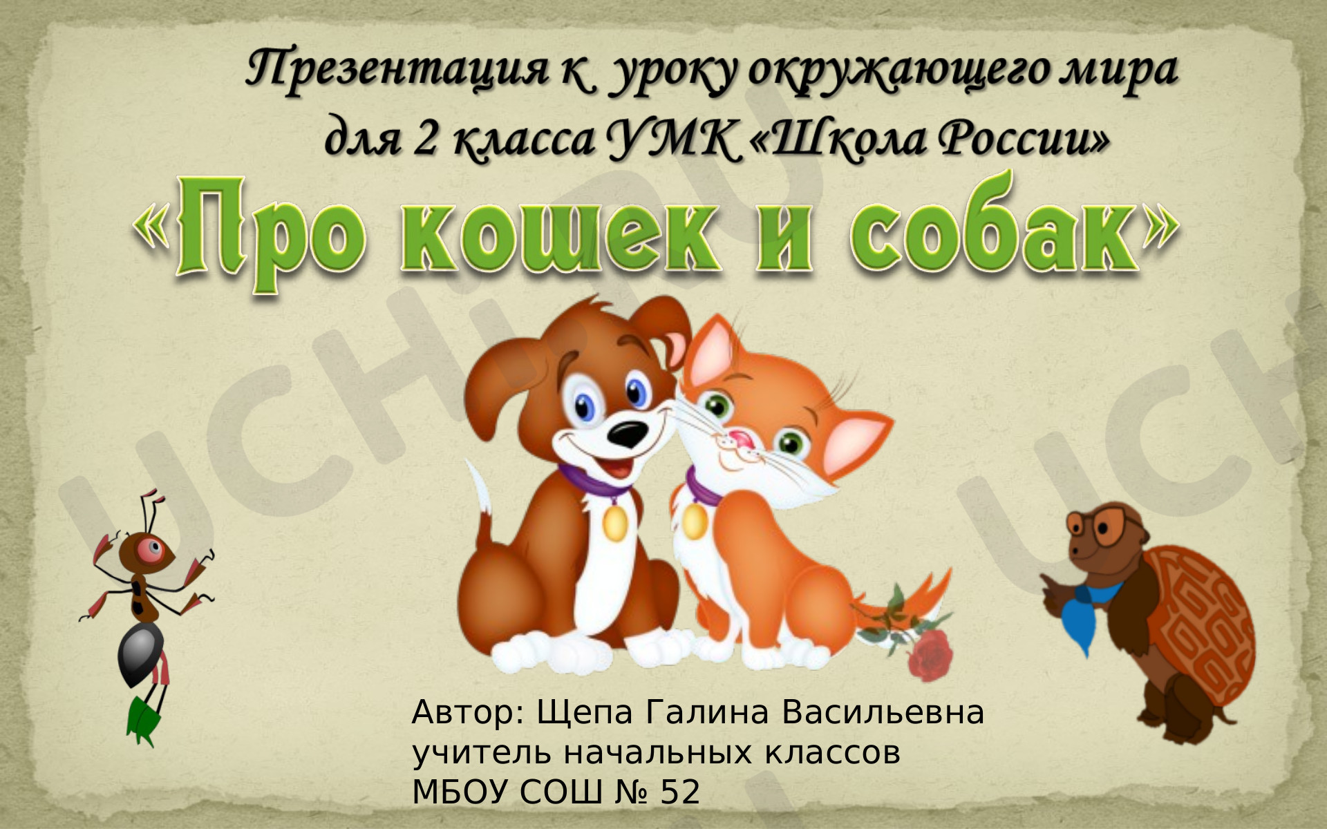 Предпросмотр материала Про кошек и собак