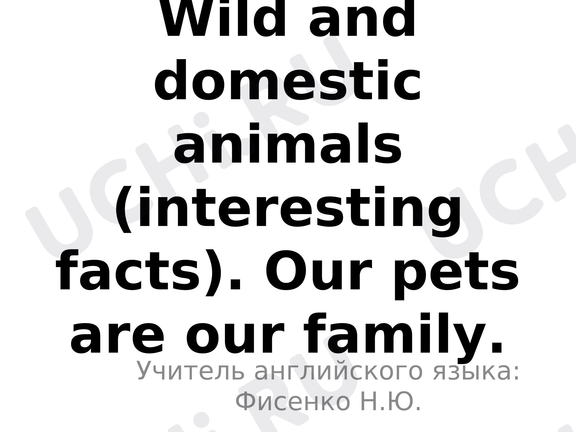 Предпросмотр материала Презентация к уроку английского языка. Wild and domestic animals (interesting facts). Our pets are our family.