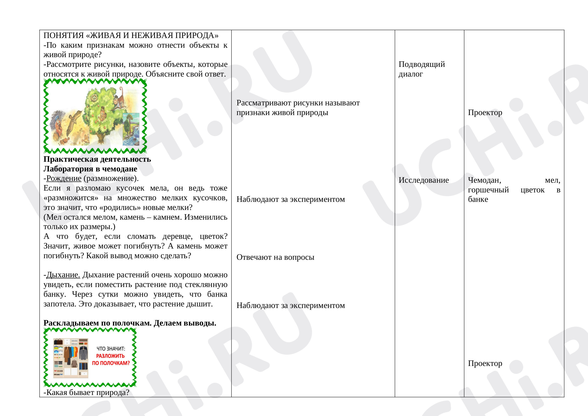 Объекты живой природы. Сравнение объектов неживой и живой природы:  выделение различий: Объекты живой природы. Сравнение объектов неживой и живой  природы: выделение различий | Учи.ру