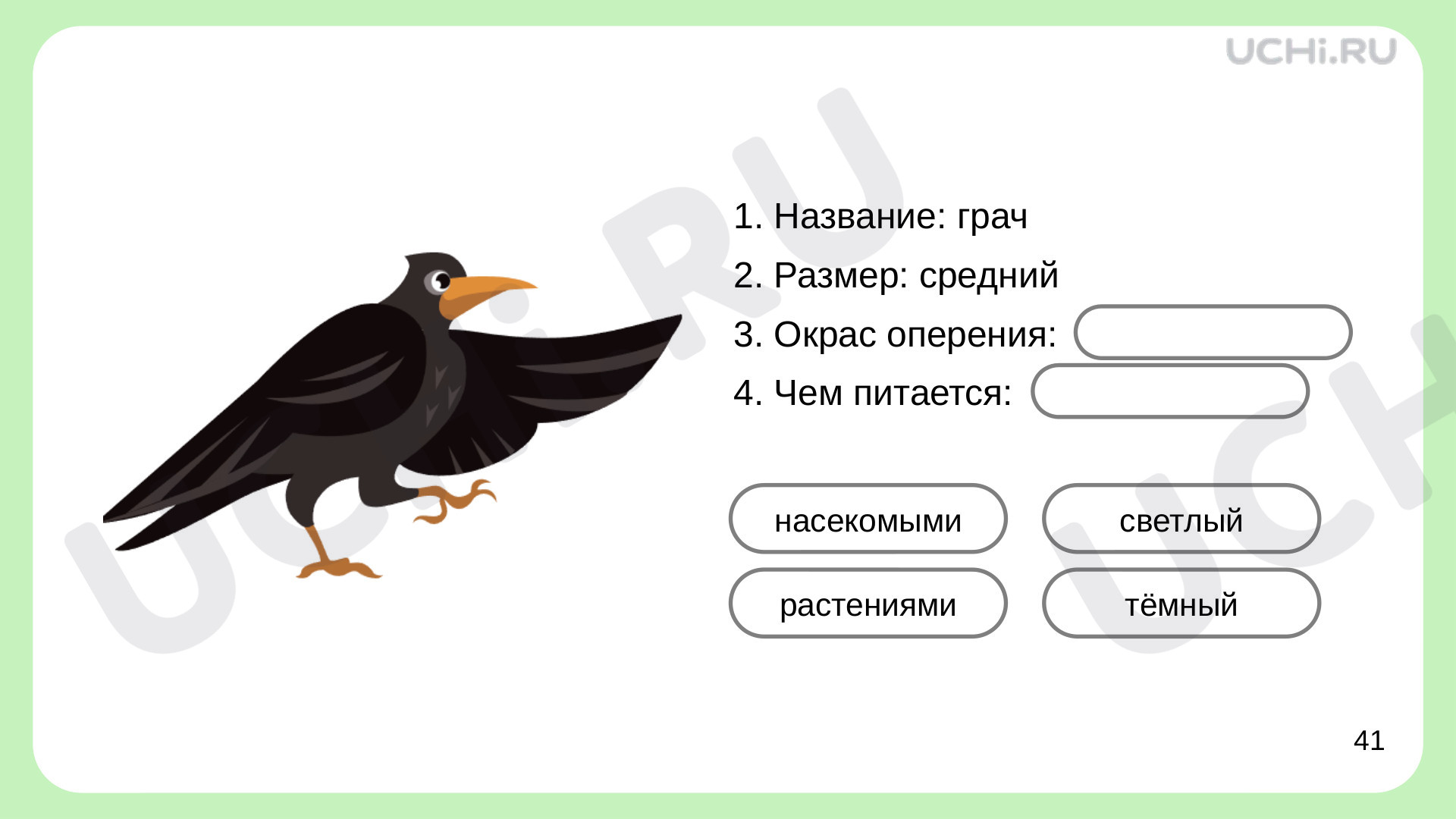 Материалы для урока по теме Кто такие птицы?,Окружающий мир,1 класс.