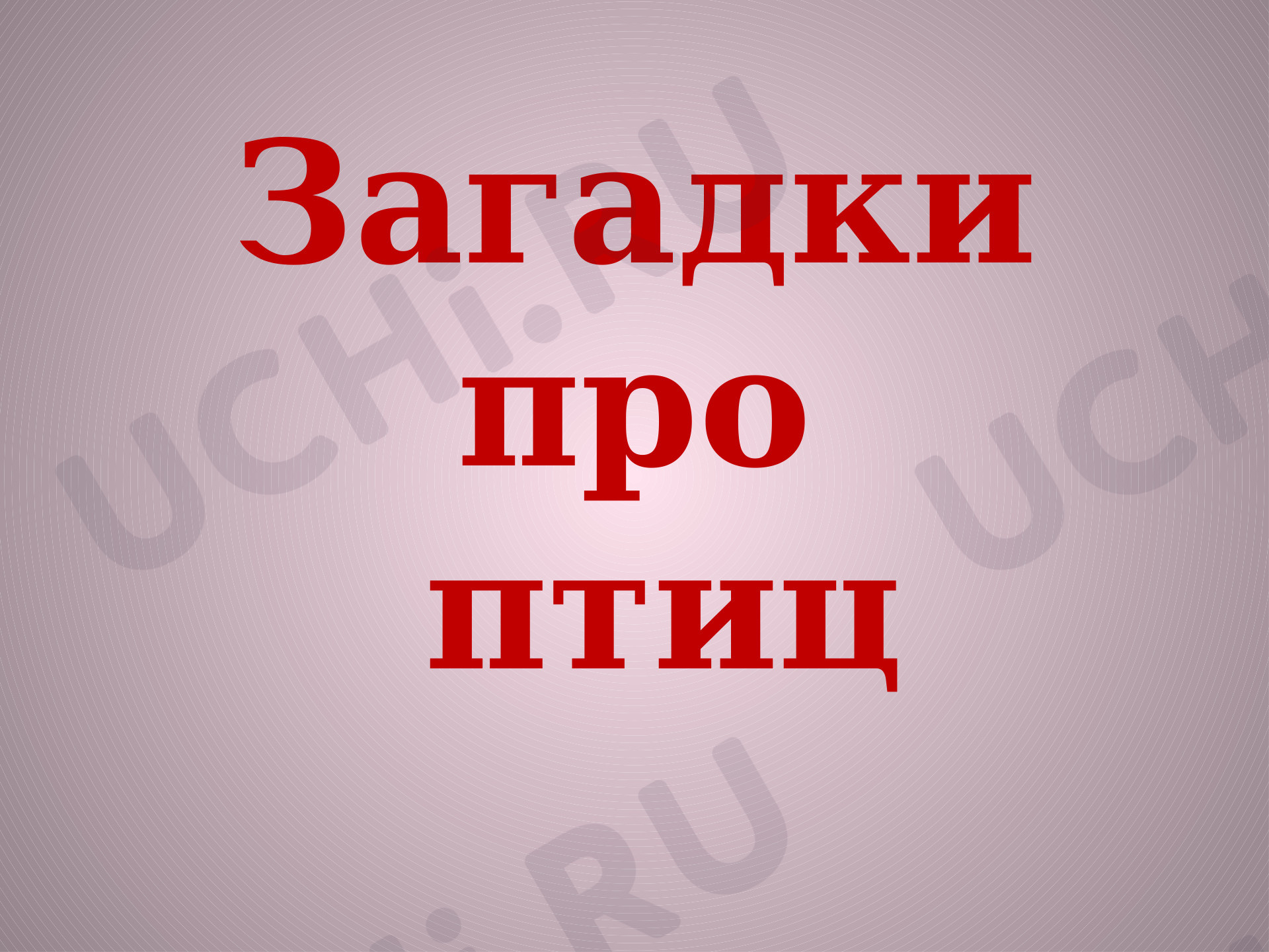 Предпросмотр материала Загадки о птицах