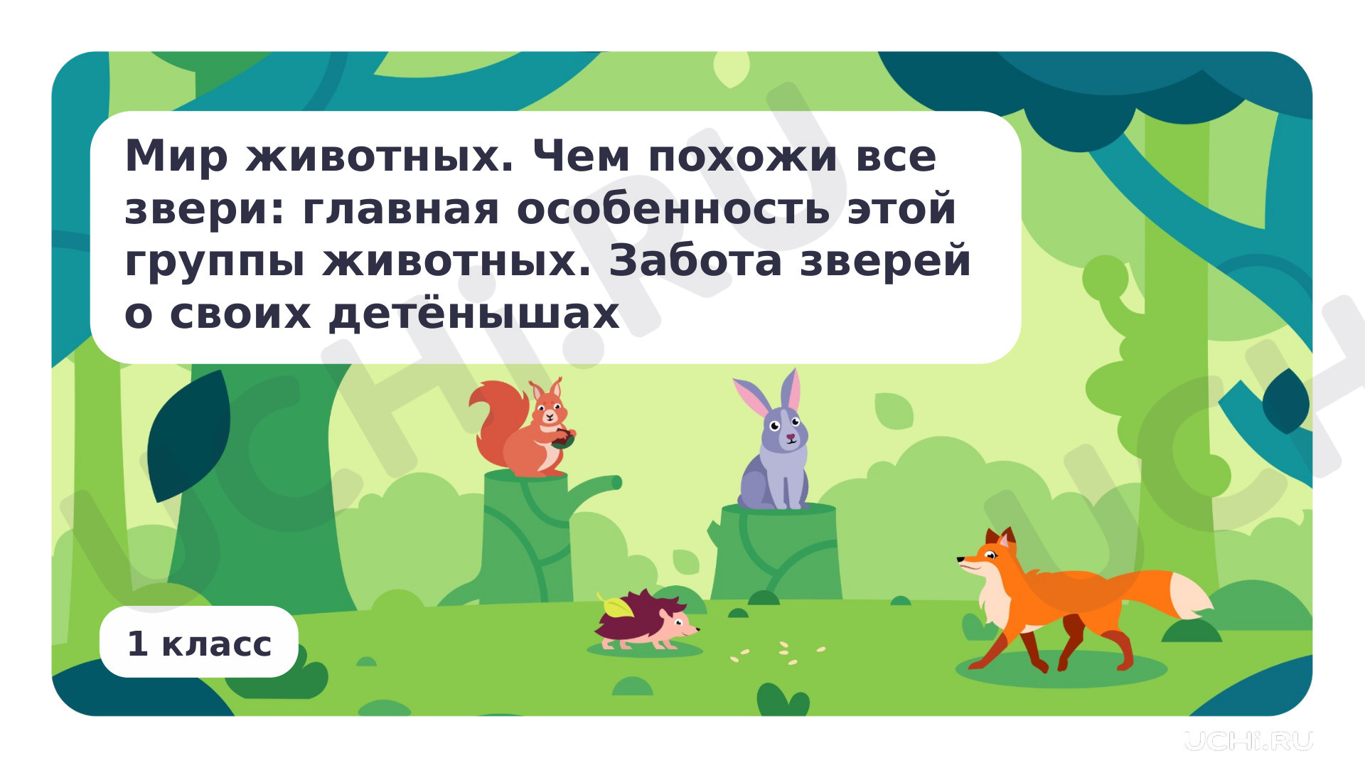Окружающий мир, 1 класс, Мир животных. Забота зверей о своих детёнышах.pptx