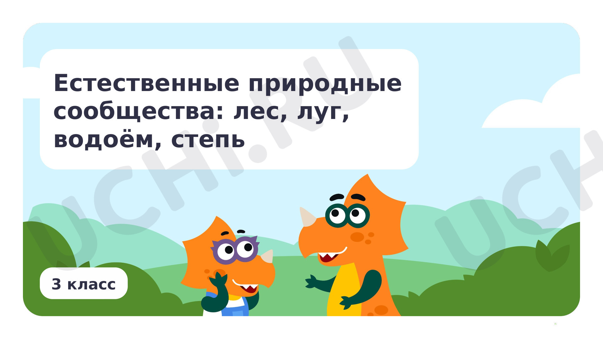 Предпросмотр материала Естественные природные сообщества: лес, луг, водоём