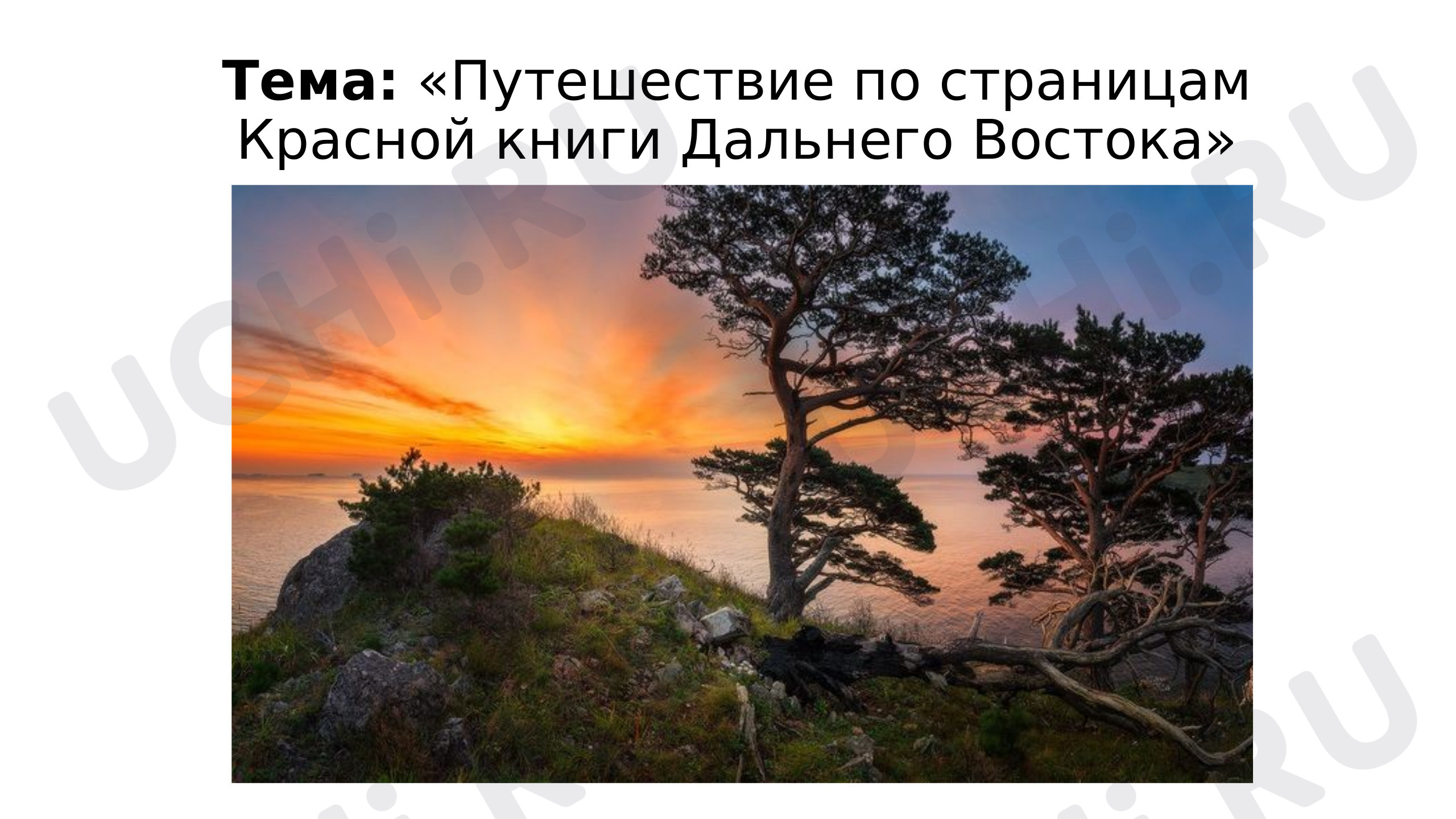 Предпросмотр материала Презентация к уроку окружающего мира. По страницам красной книги Дальнего Востока.