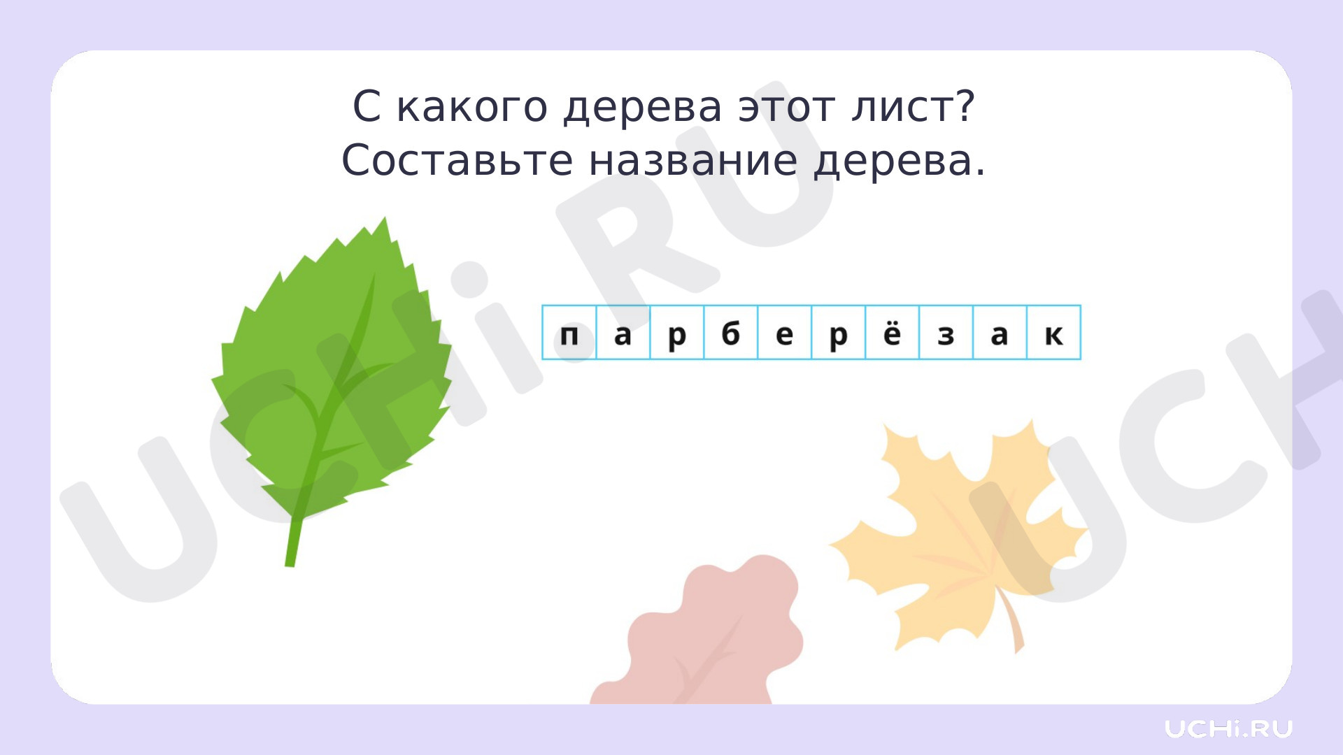 Рабочие листы по теме «Особенности лиственных растений: узнавание, краткое  описание. Лиственные деревья нашего края». Базовый уровень: Особенности  лиственных деревьев: узнавание, краткое описание. Лиственные деревья нашего  края | Учи.ру