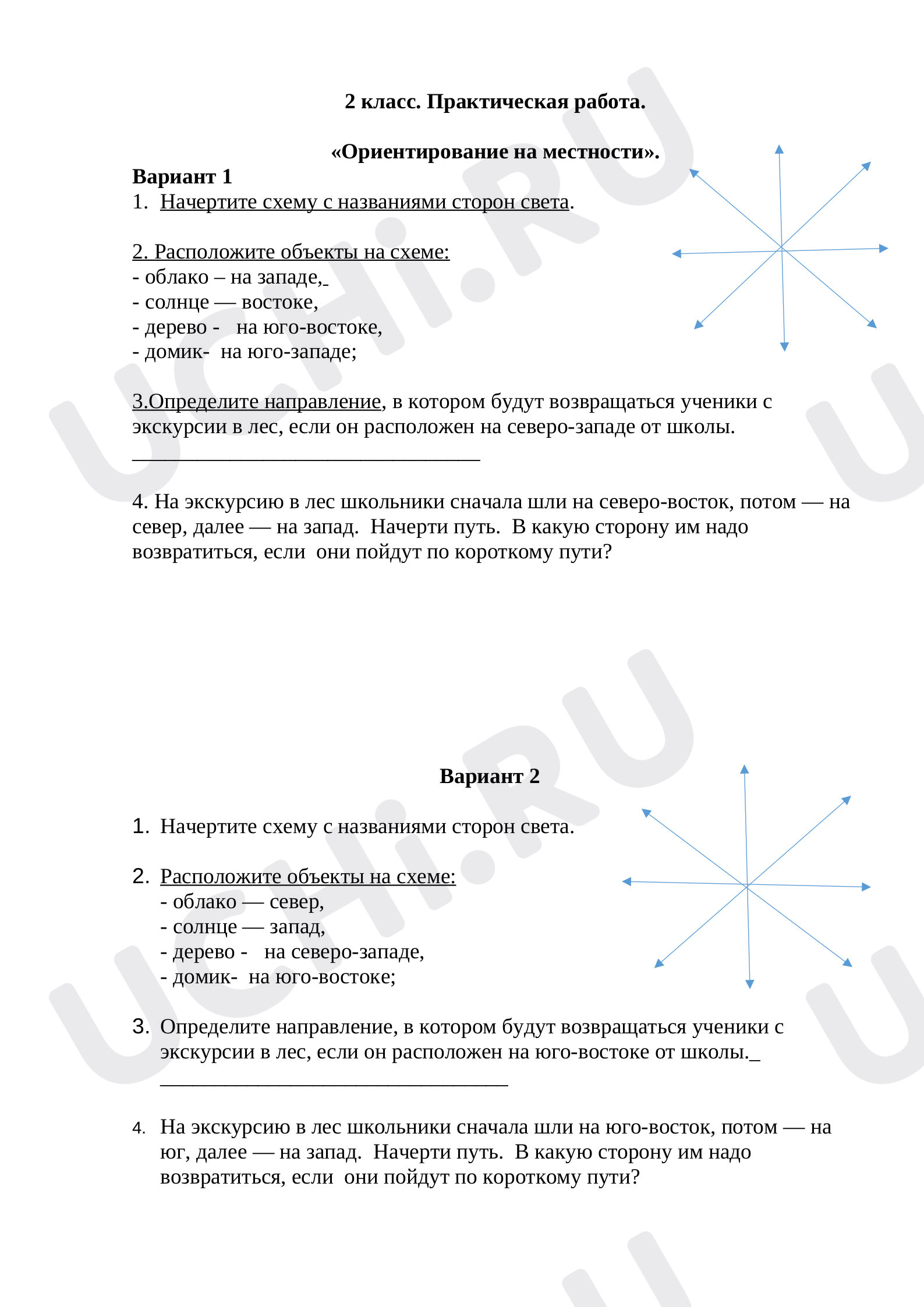 Предпросмотр материала Проверочная работа по теме "Стороны горизонта. Ориентирование на местности."