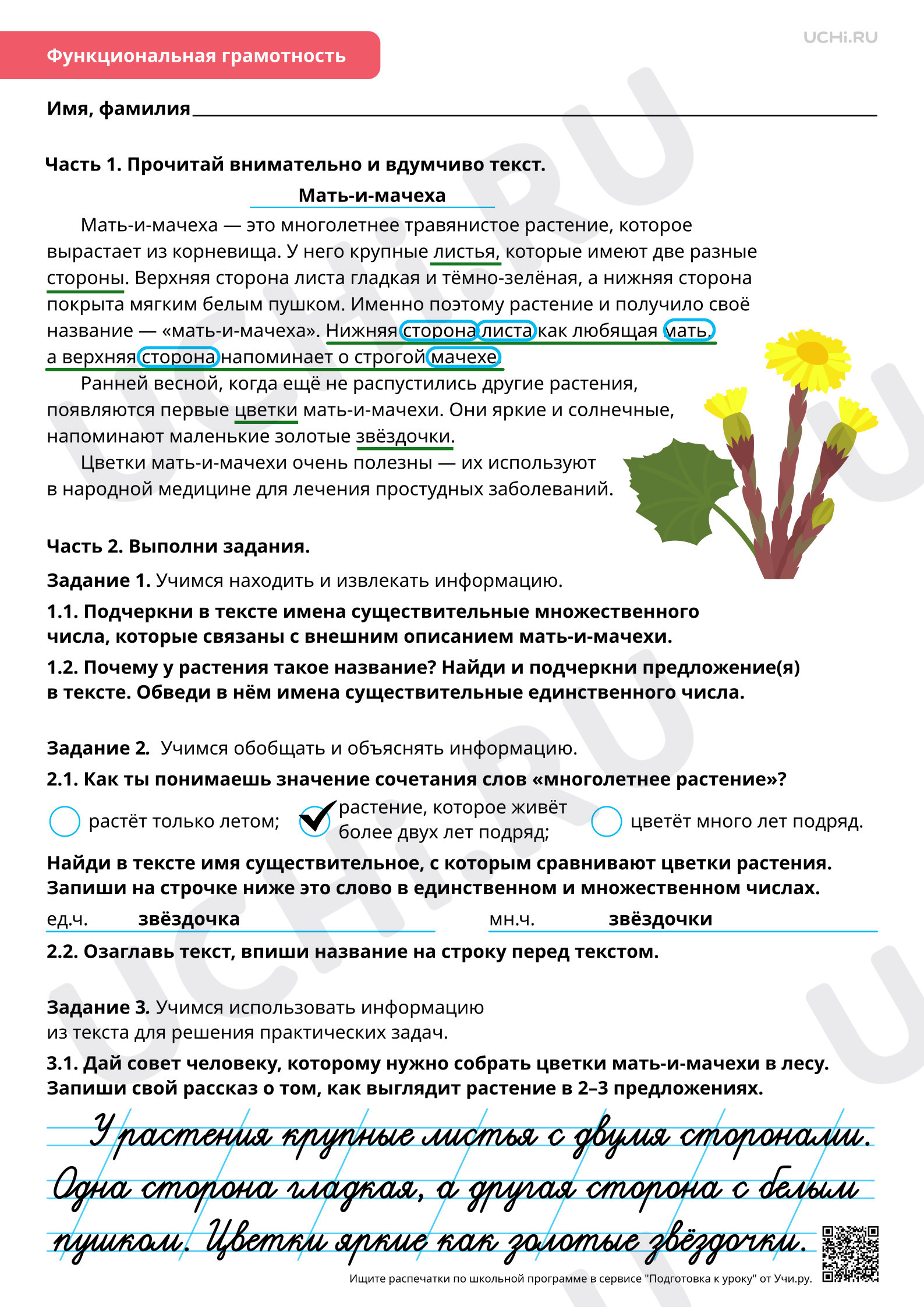 Предпросмотр материала Морфология: изменение имён существительных по числам. Ответы