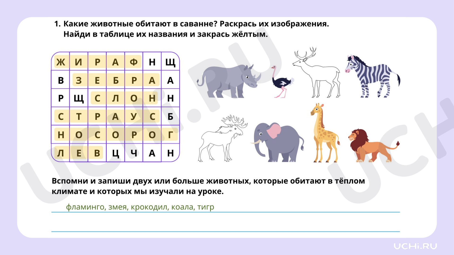 Рабочие листы по теме «Мир животных. Где живут слоны?». Базовый уровень:  Мир животных. Где живут слоны? | Учи.ру