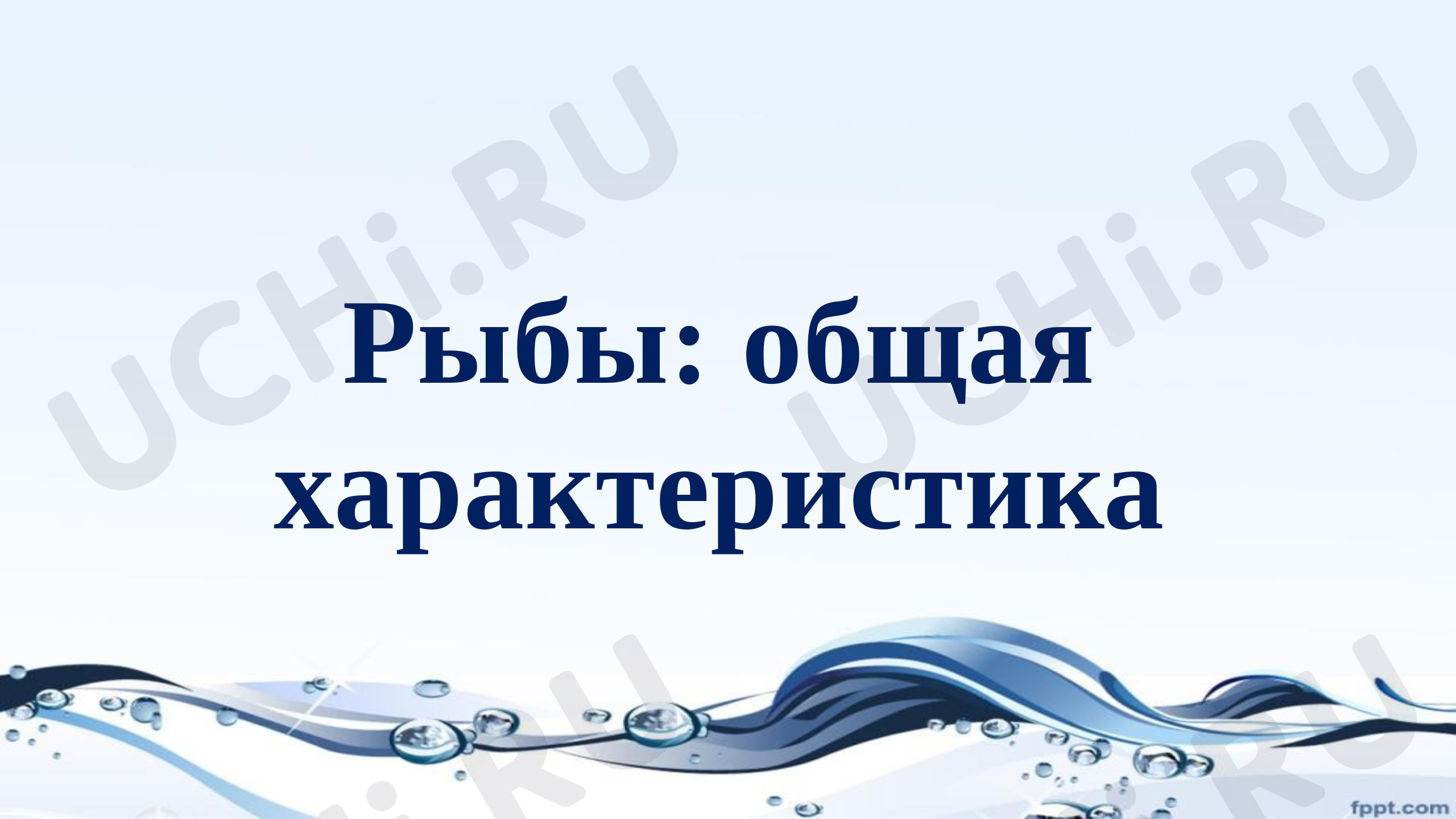 Предпросмотр материала Презентация к уроку окружающего мира по теме: «Рыбы: общая характеристика»
