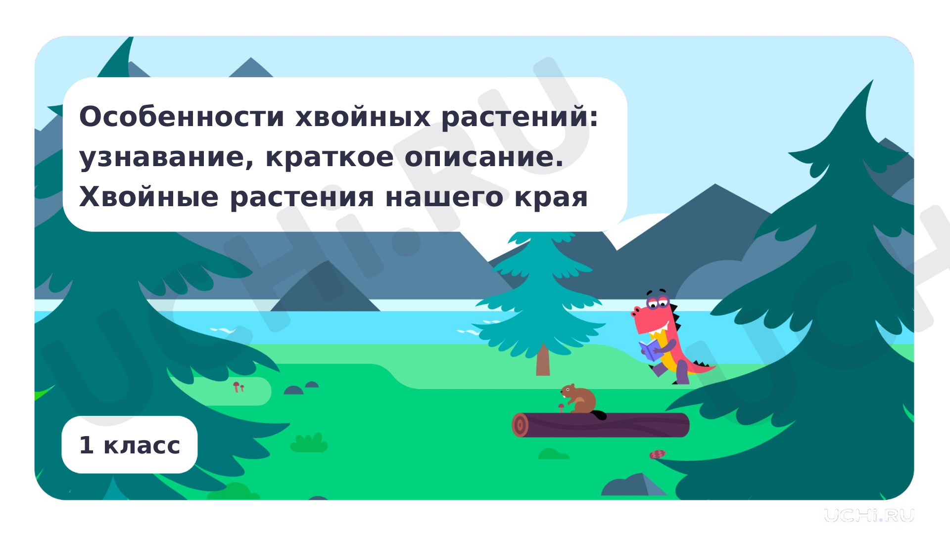 Предпросмотр материала Особенности хвойных растений. Хвойные растения нашего края