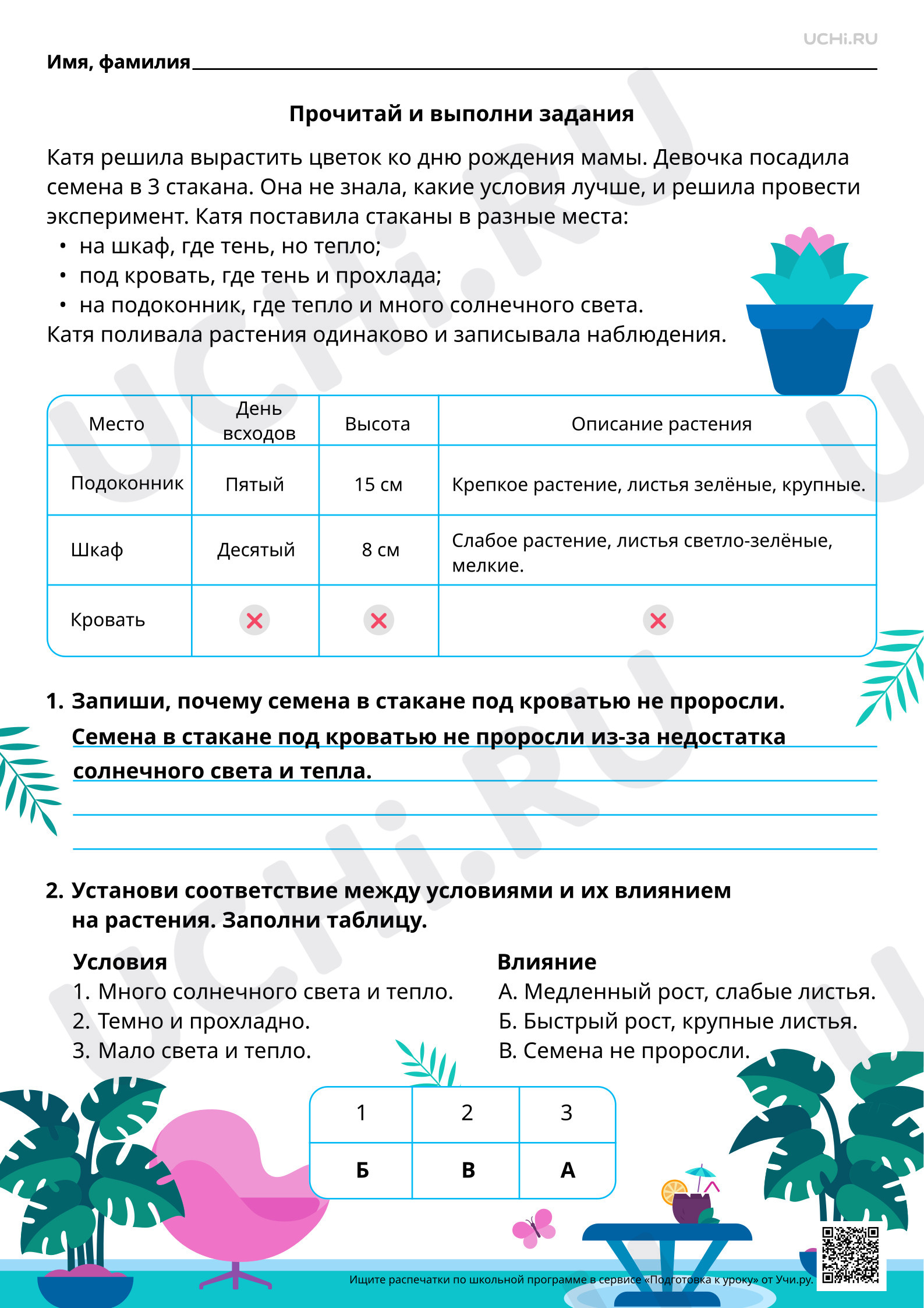 Предпросмотр материала Естественно-научная грамотность. Выращивание растения в домашних условиях. Ответы