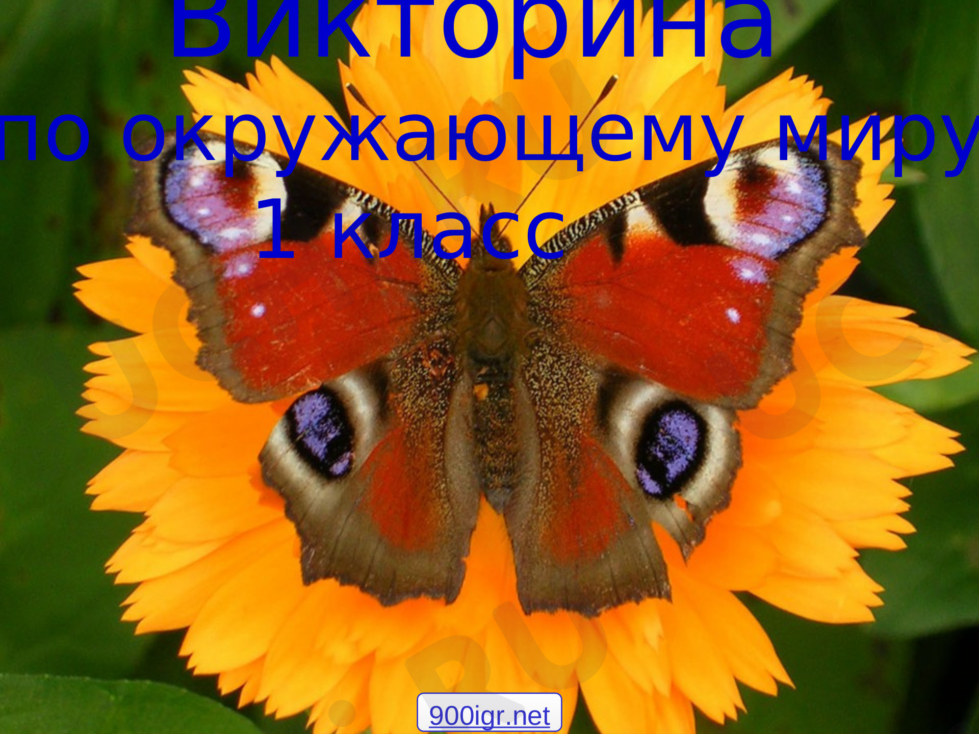 Предпросмотр материала Повторение изученного. Викторина