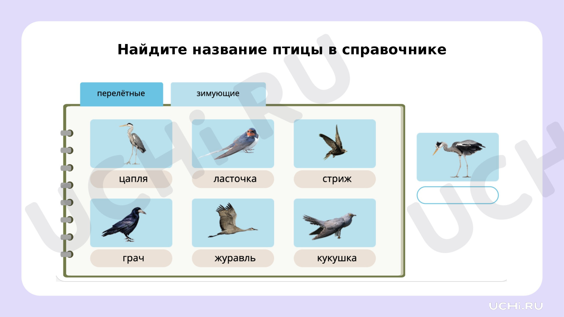 Перелетные птицы республики коми фото и названия