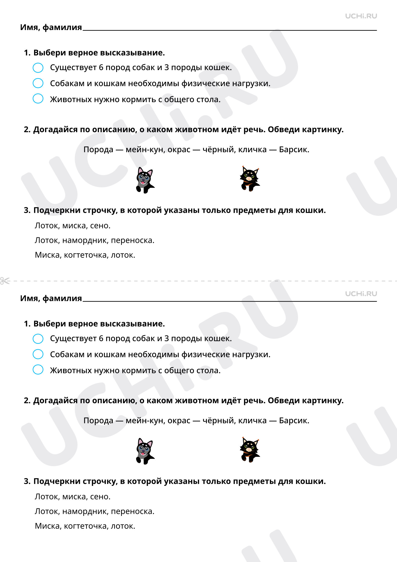 Предпросмотр материала Мир животных. Почему мы любим кошек и собак? Базовый уровень