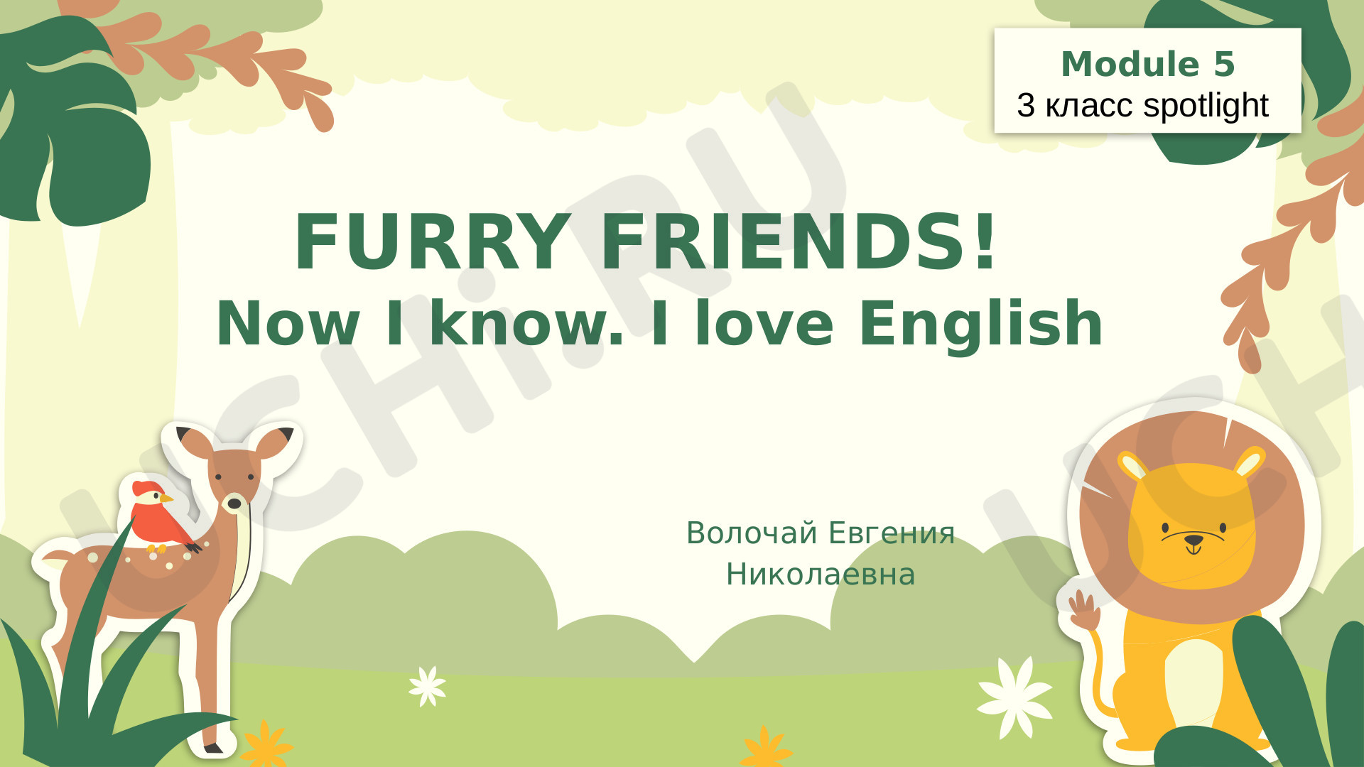 Предпросмотр материала Презентация Now I know English (Module 5)