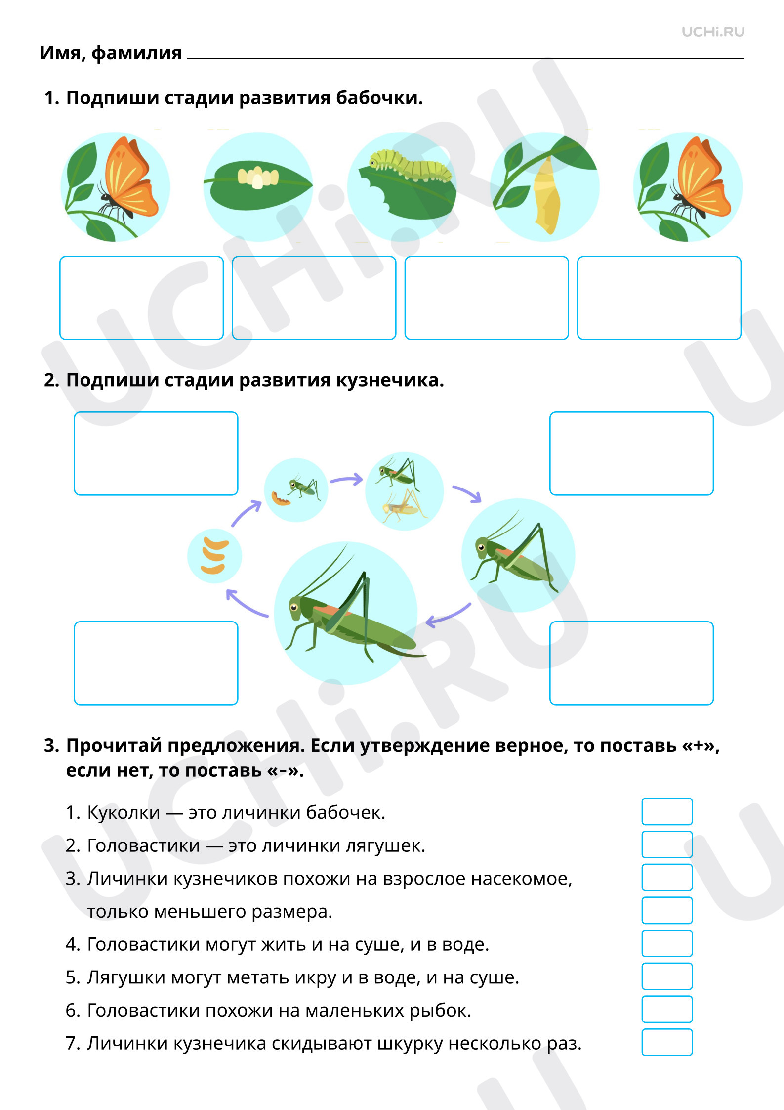 Предпросмотр материала Животные и их потомство. Базовый уровень