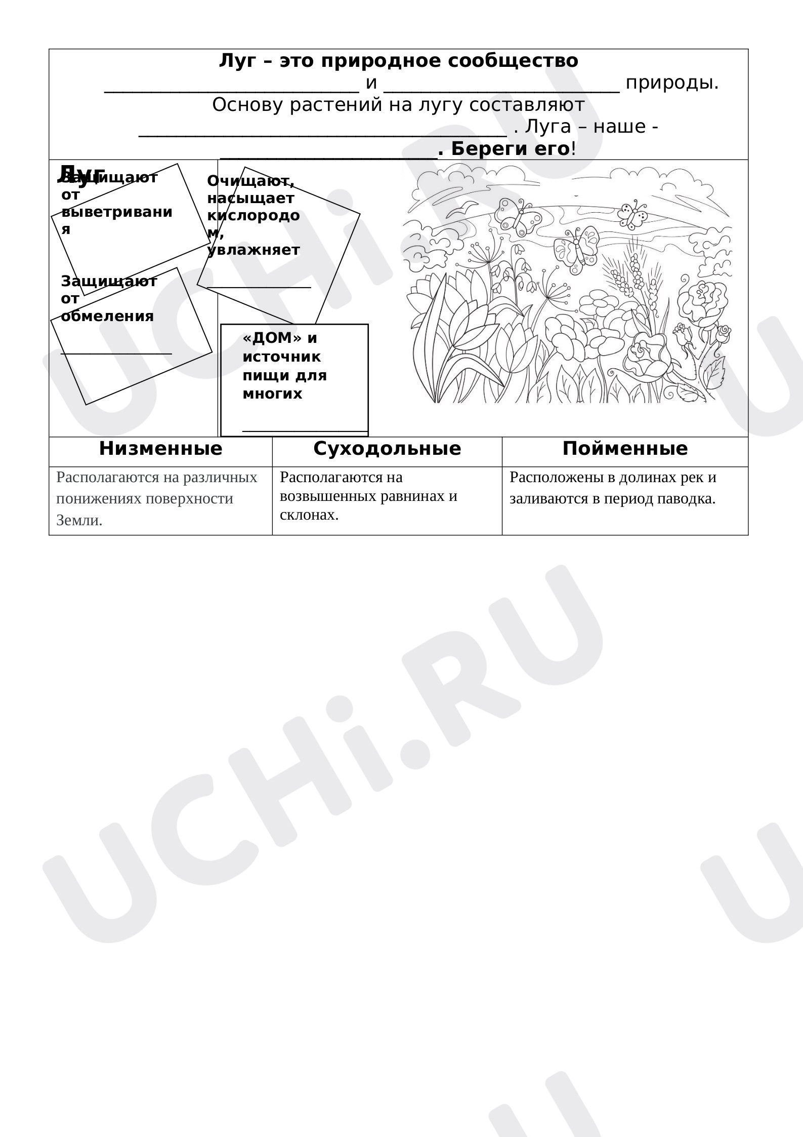 Предпросмотр материала Природное сообщество - луг
