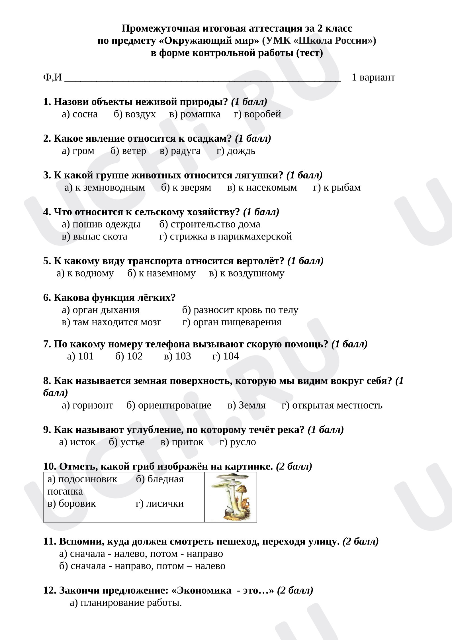 Предпросмотр материала Промежуточная итоговая аттестация по предмету Окружающий мир