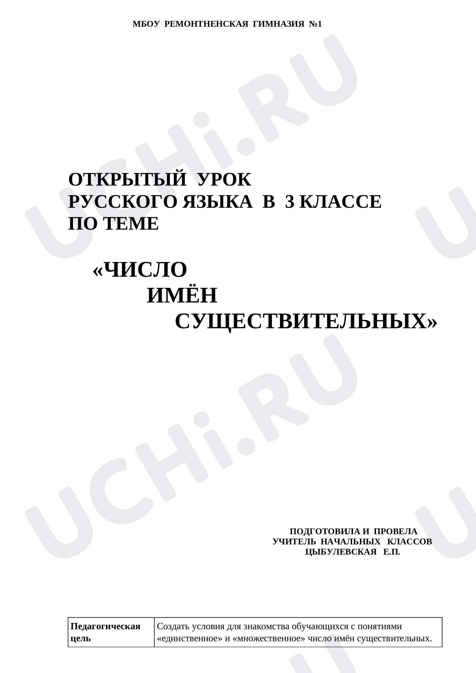 Предпросмотр материала Число имён существительных