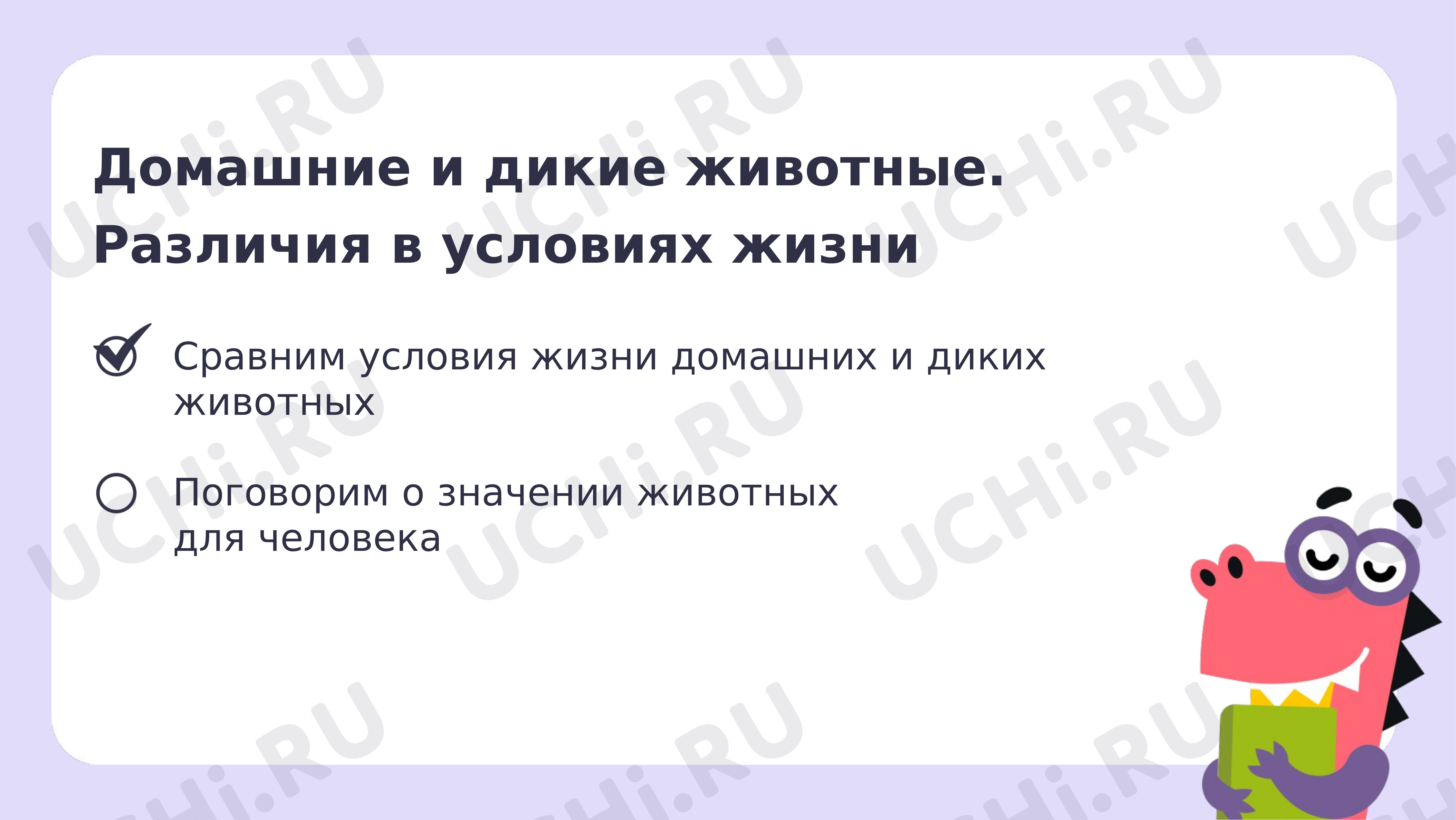 Рабочие листы по теме «Домашние и дикие животные. Различия в условиях  жизни». Повышенный уровень: Домашние и дикие животные. Различия в условиях  жизни | Учи.ру