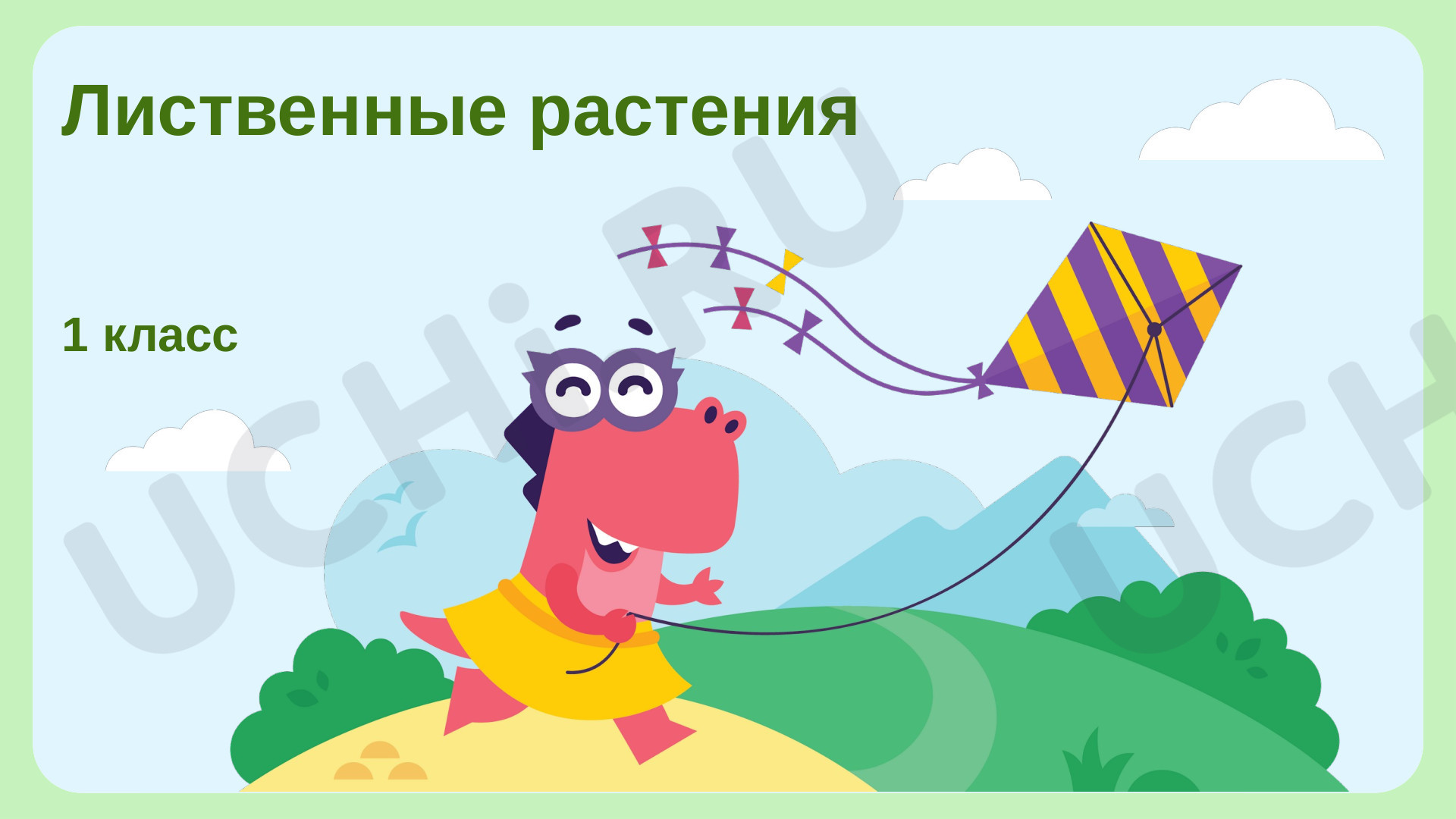 Предпросмотр материала Лиственные растения