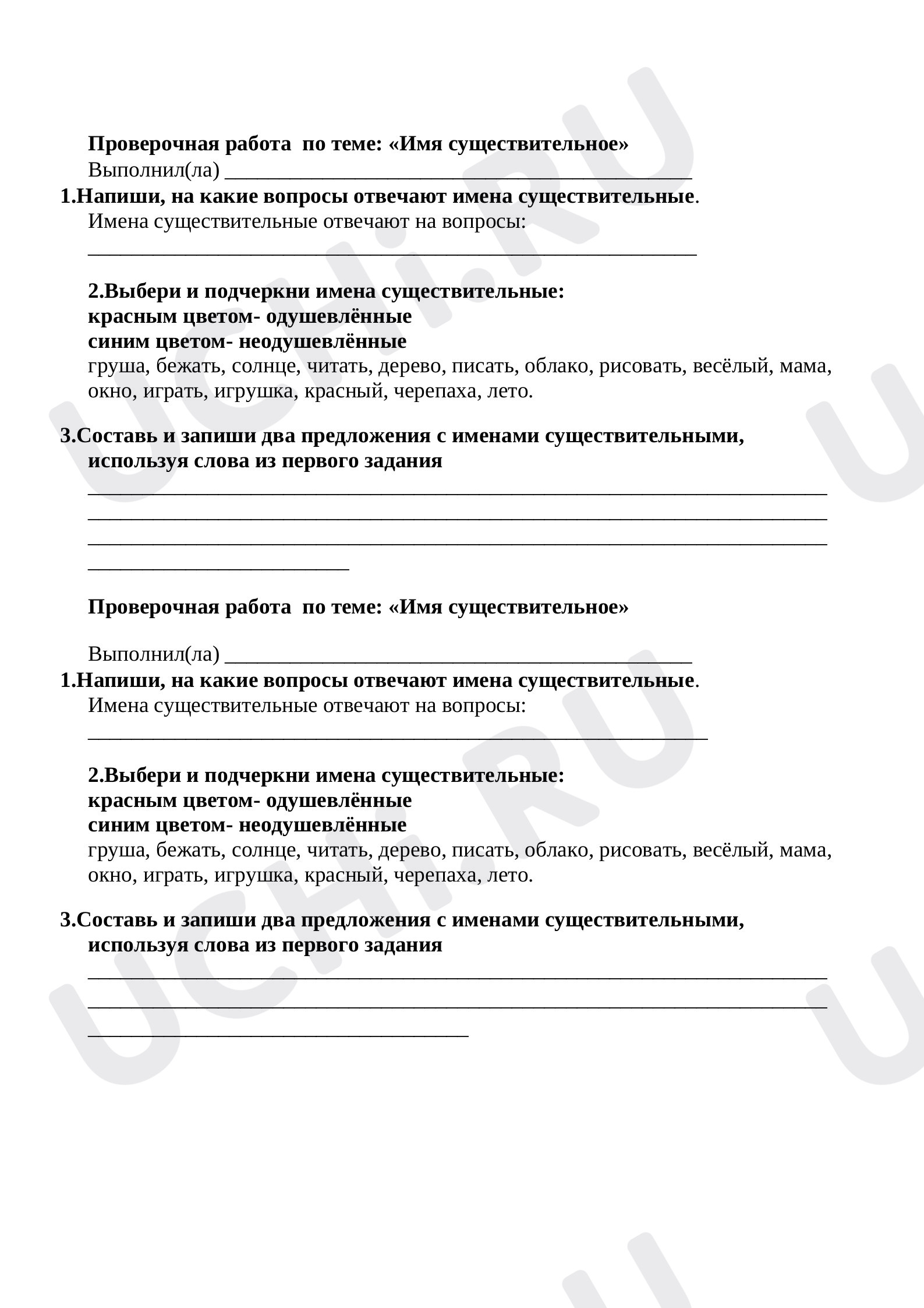 Предпросмотр материала Проверочная работа по русскому языку по теме: "Имя существительное"