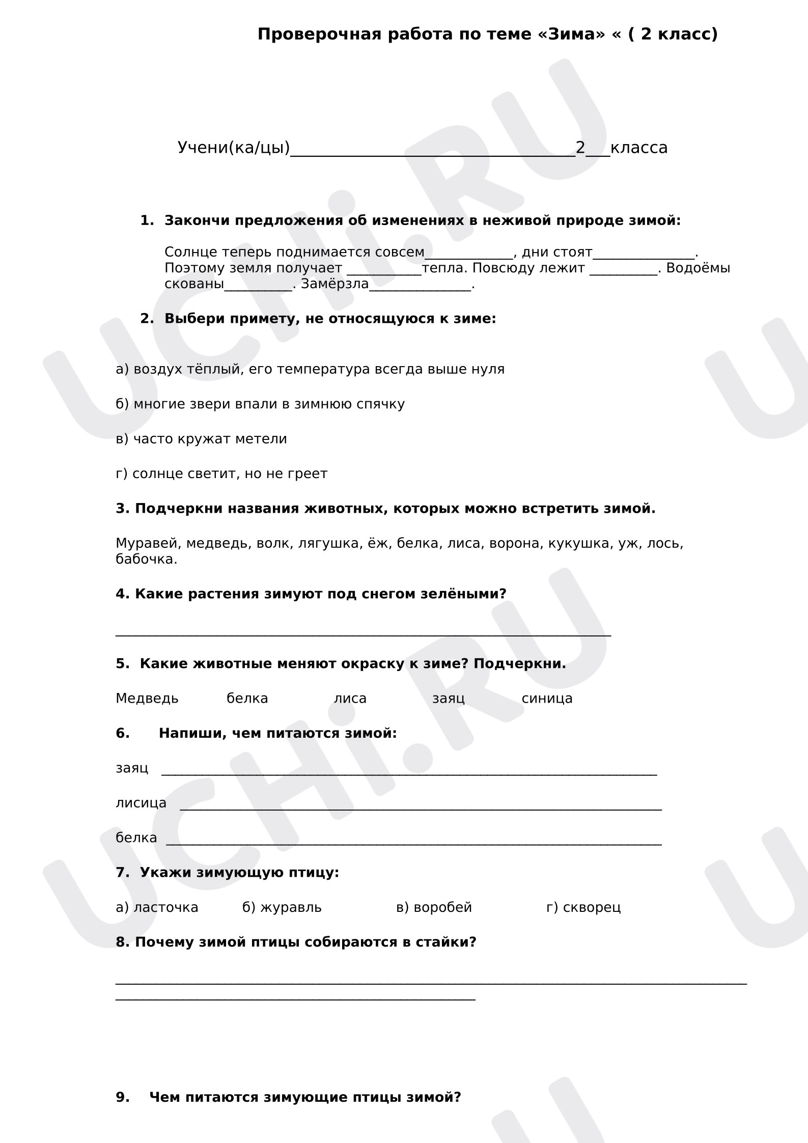 Предпросмотр материала Проверочная работа по Окружающему миру "Зима"