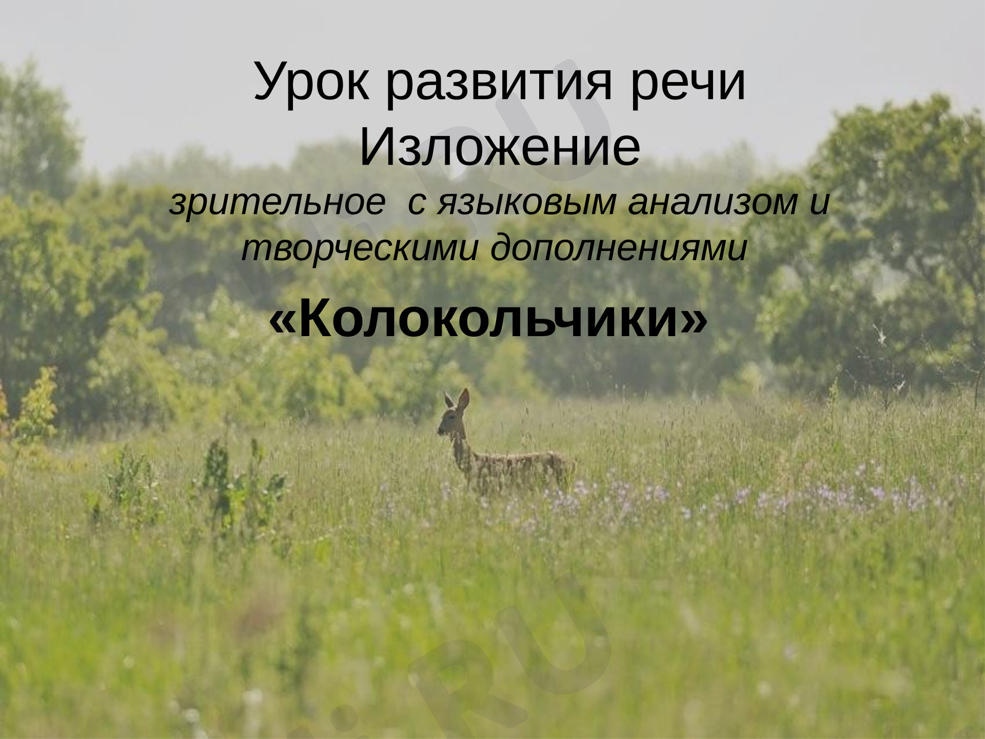 Предпросмотр материала Презентация к уроку русского языка. Изложение «Колокольчики».